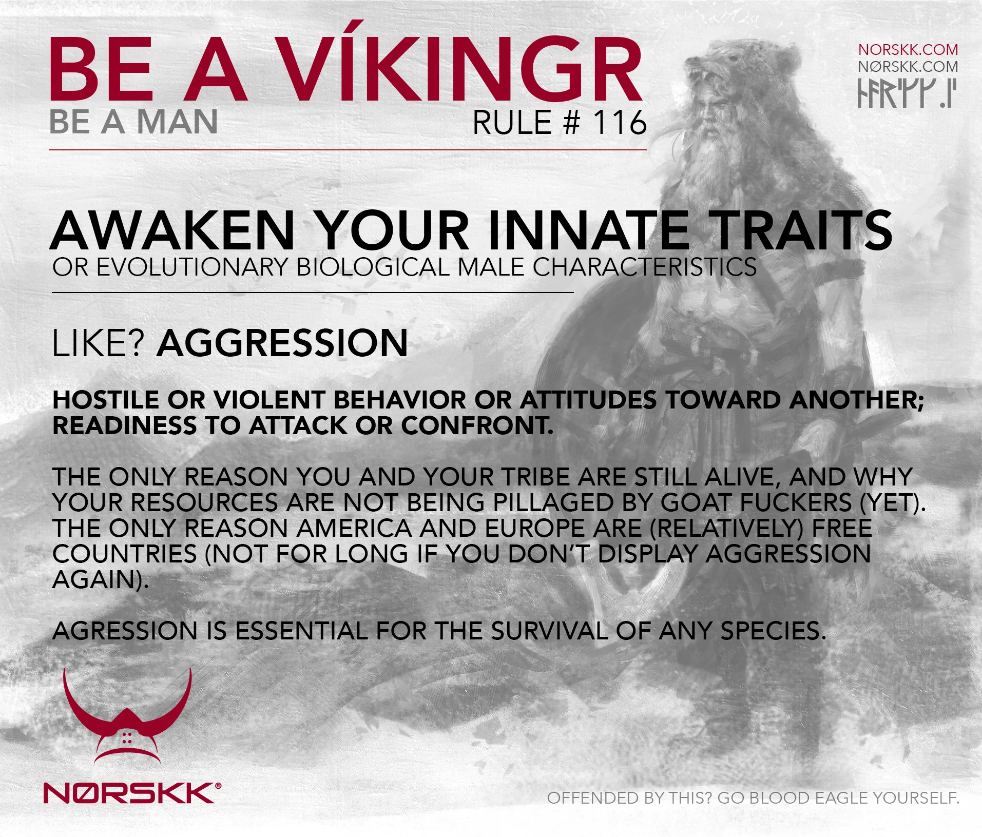 116_Aggression.jpg