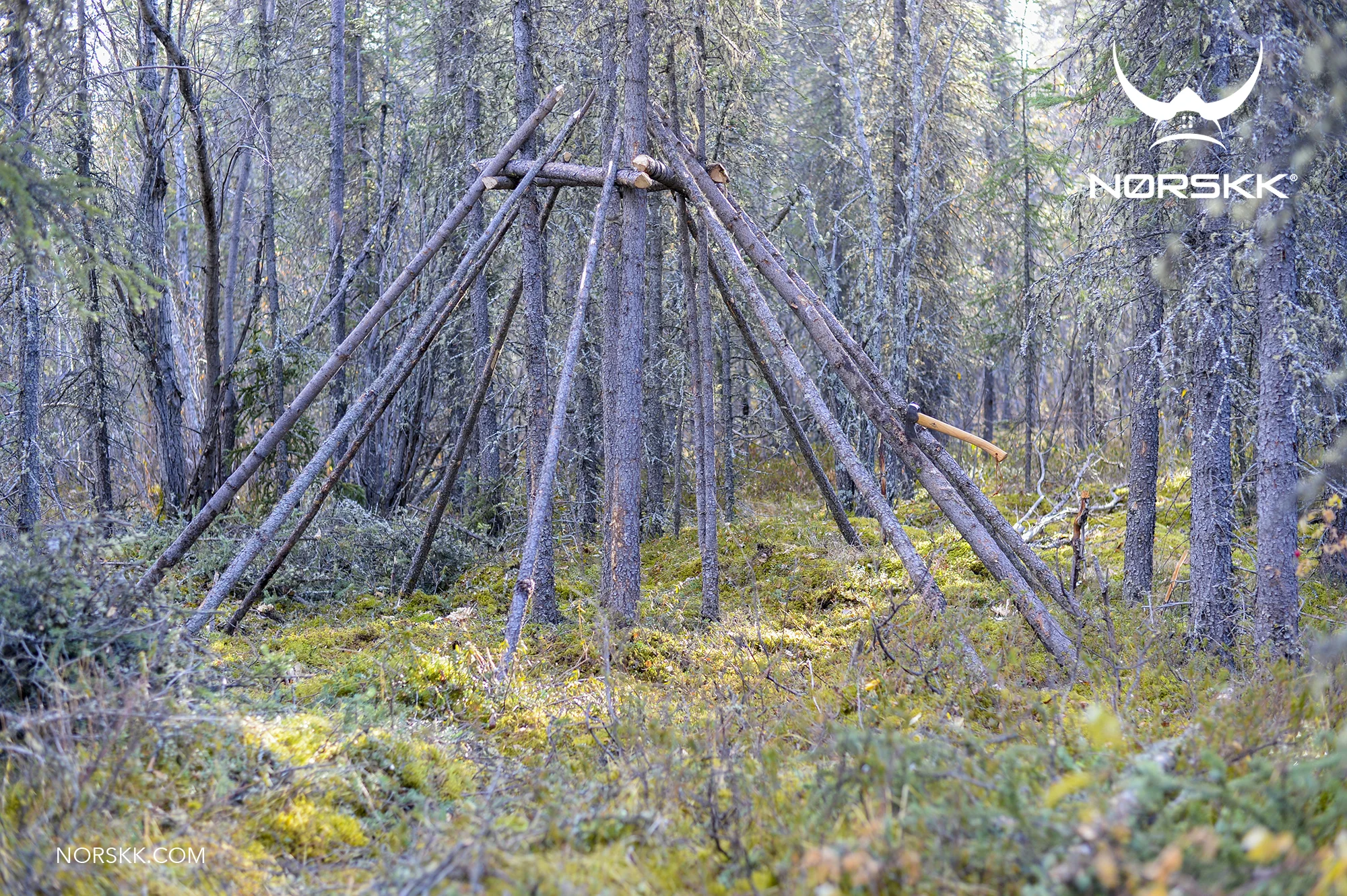 shelter_roundhouse10.jpg