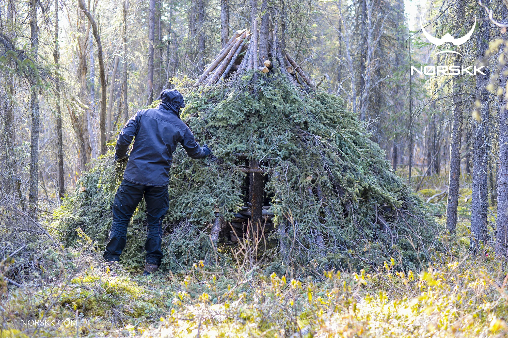 shelter_roundhouse24.jpg