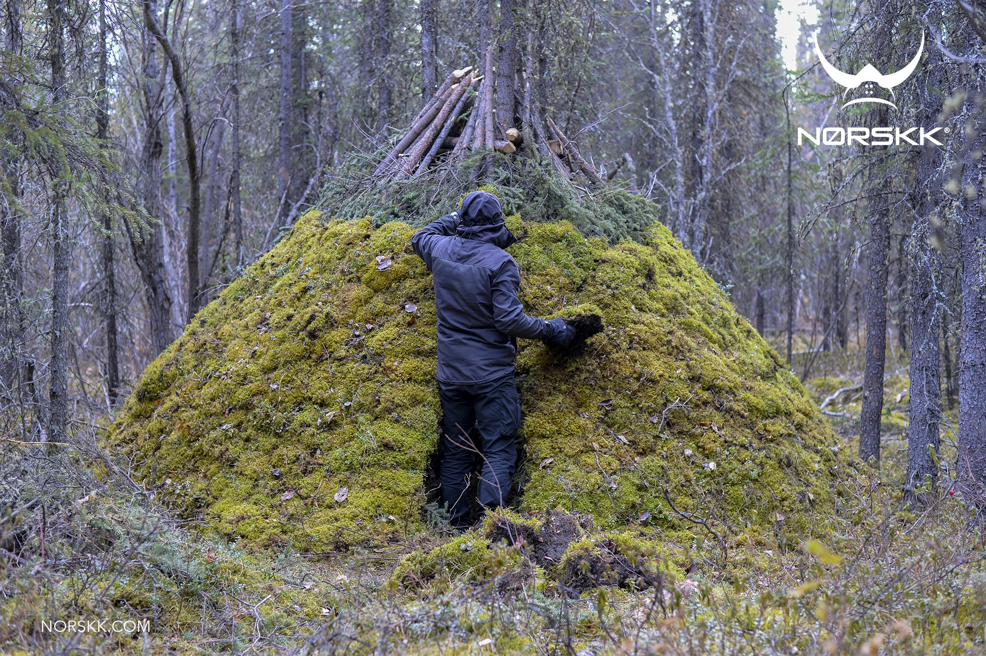 shelter_roundhouse31.jpg