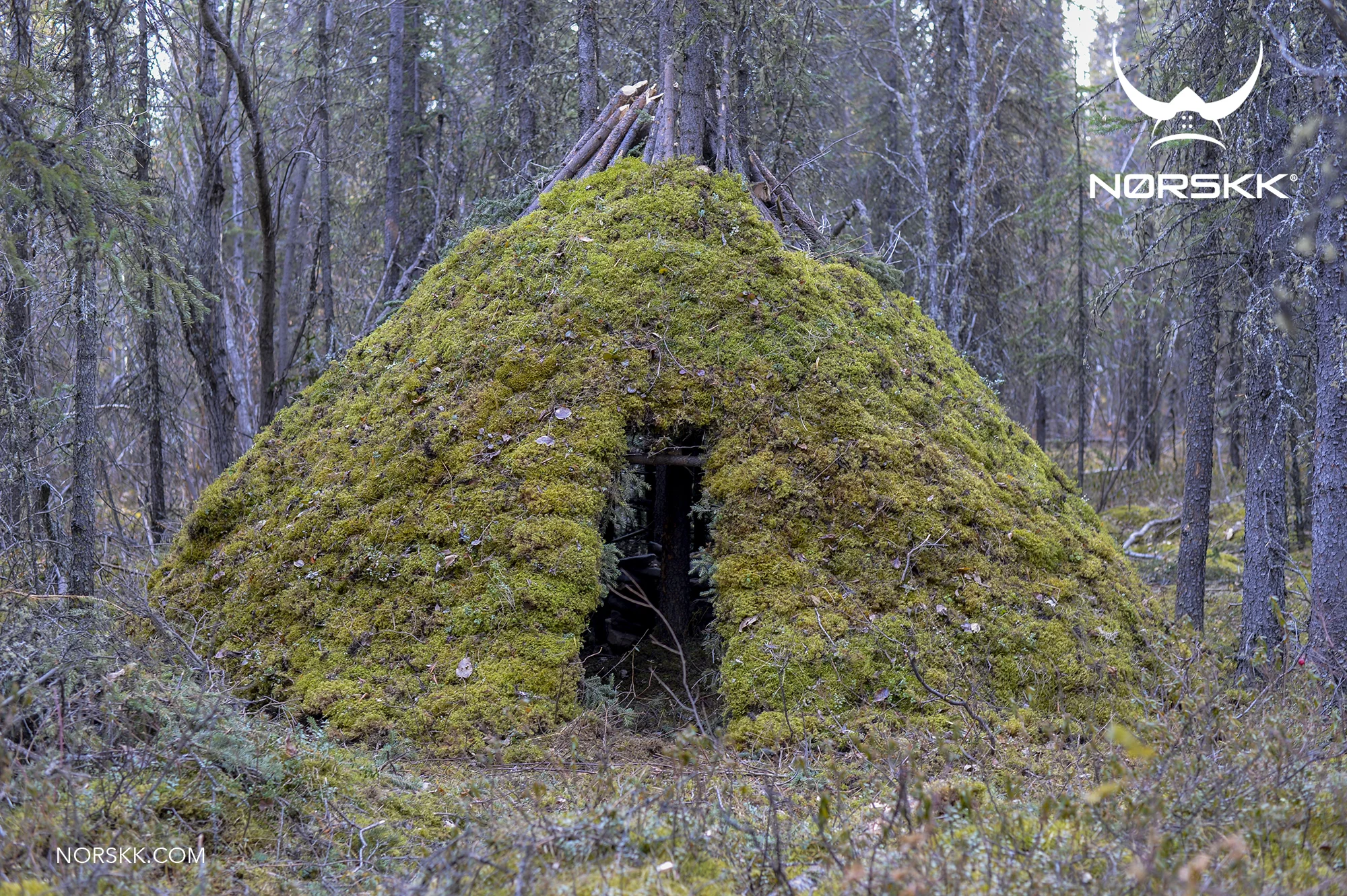 shelter_roundhouse33.jpg