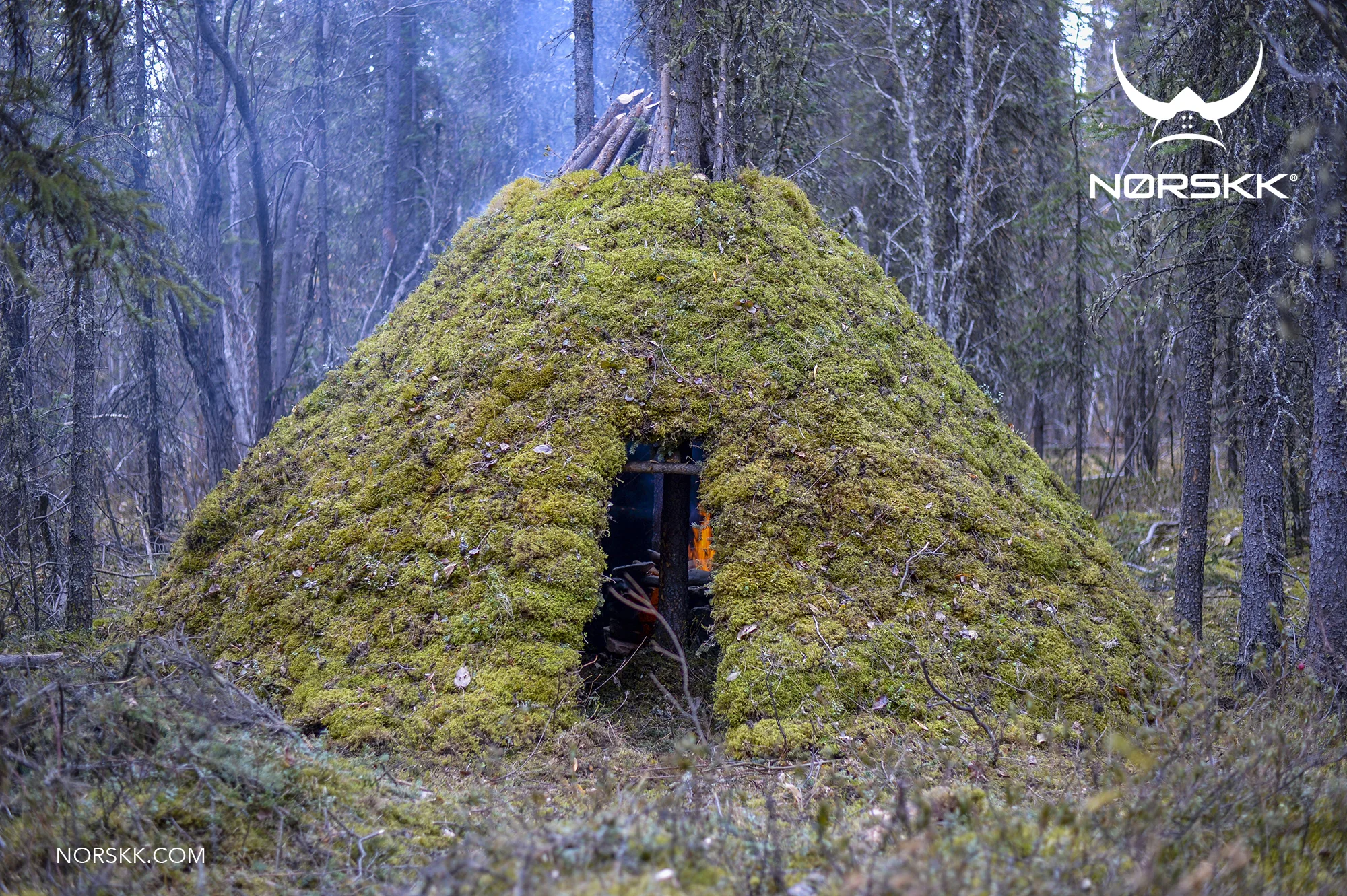 shelter_roundhouse37.jpg