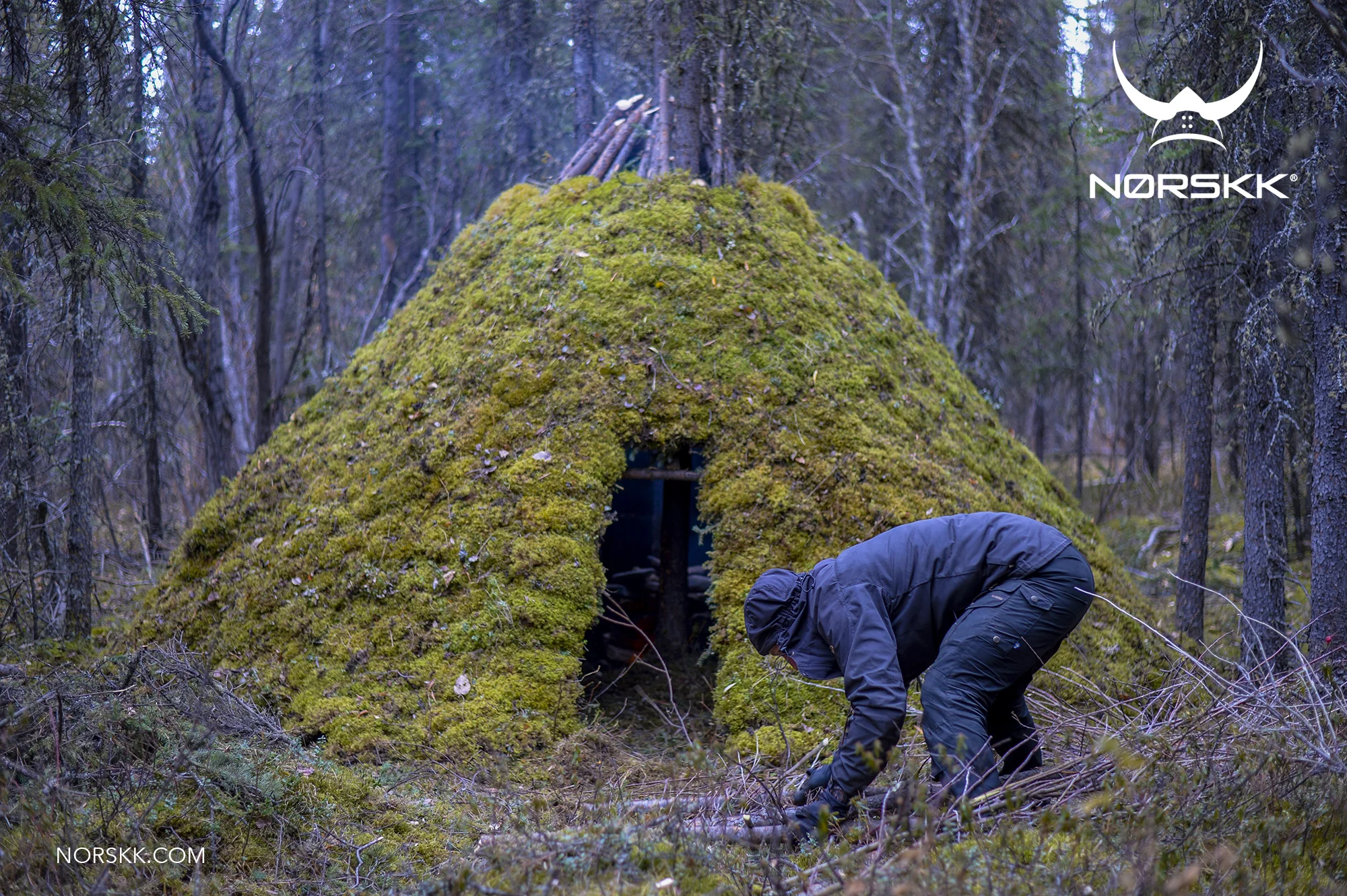 shelter_roundhouse41.jpg