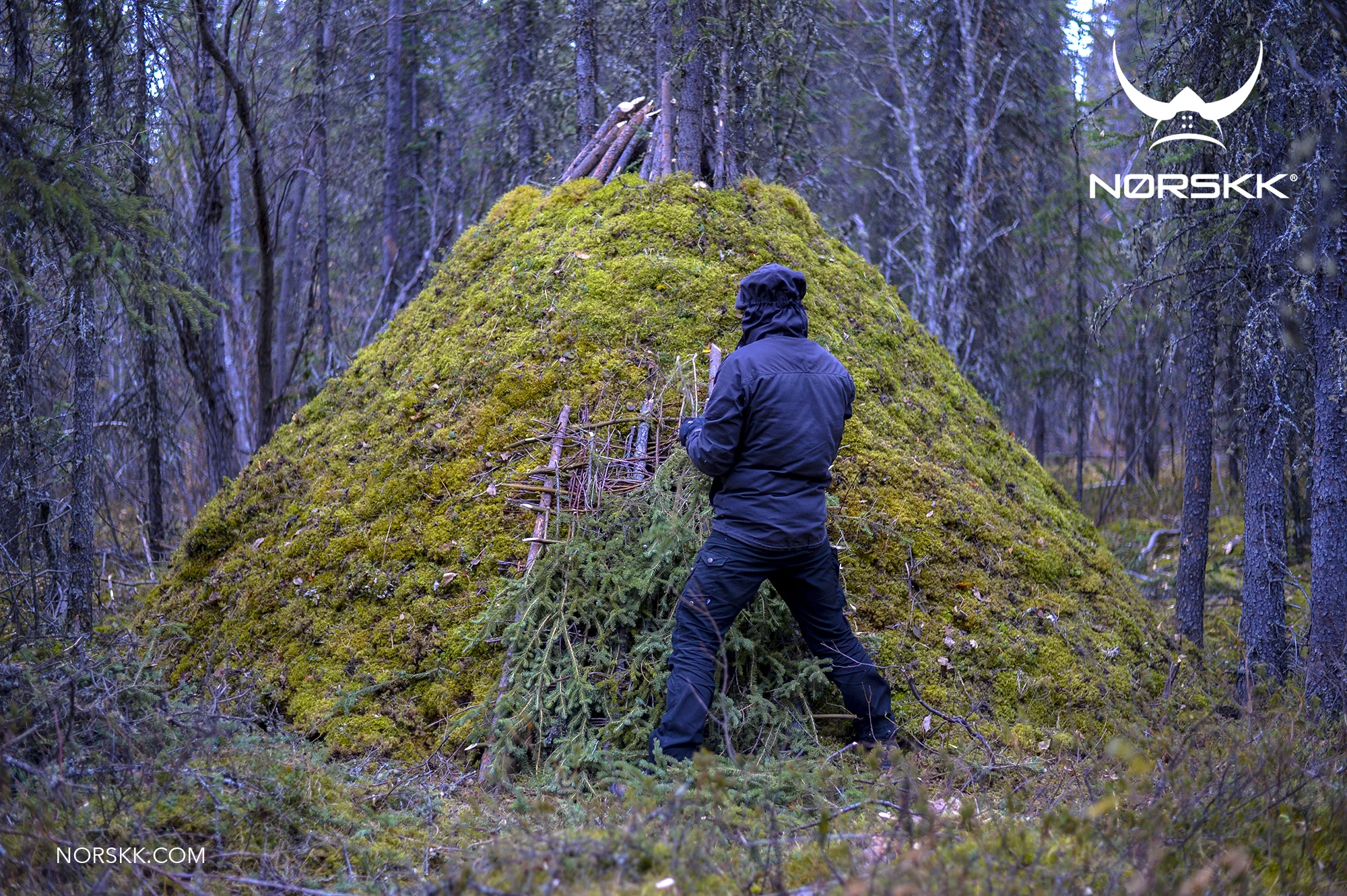 shelter_roundhouse44.jpg