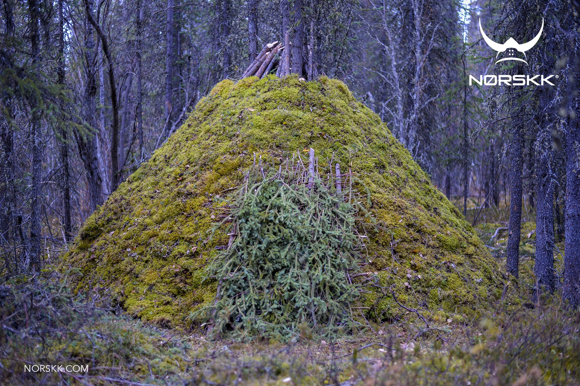 shelter_roundhouse45.jpg