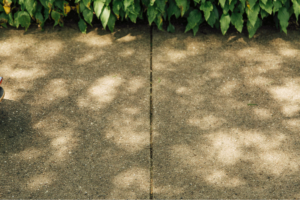 Sears_Summer-DV-Social_Rolling-Skateboard-Clothes_052417.gif