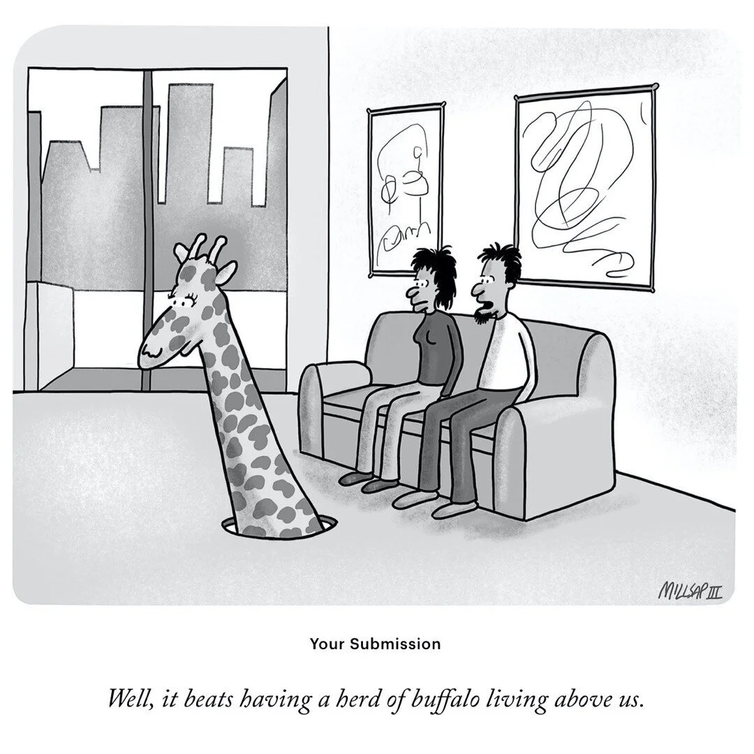 It's like we're living in a zoo.
