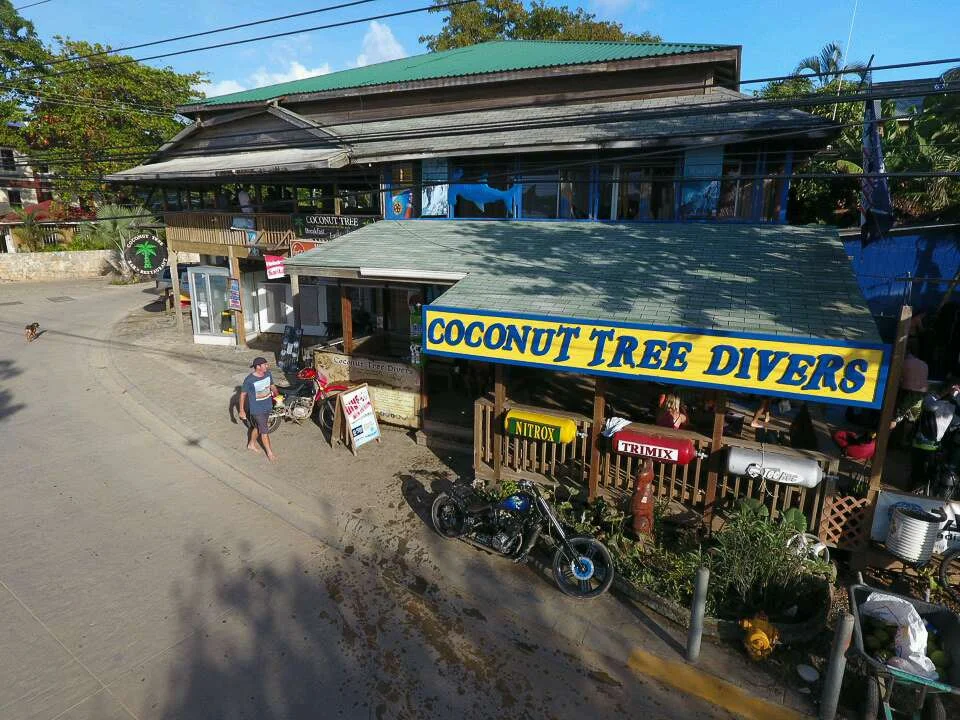The Roatan Tec Center and Coconut Tree Divers store front.