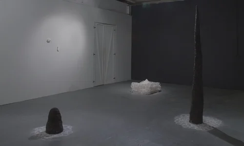 R I S E R E V E P E A C O C K