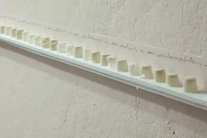 20150508791.jpg