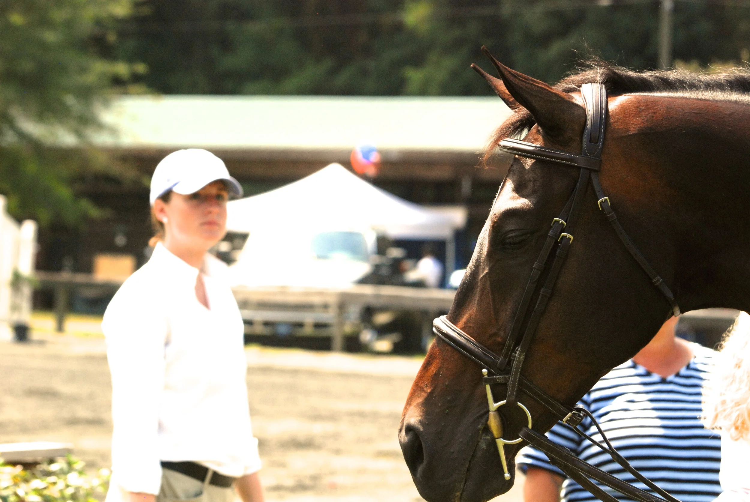 DSC_8964 - Version 4.JPG