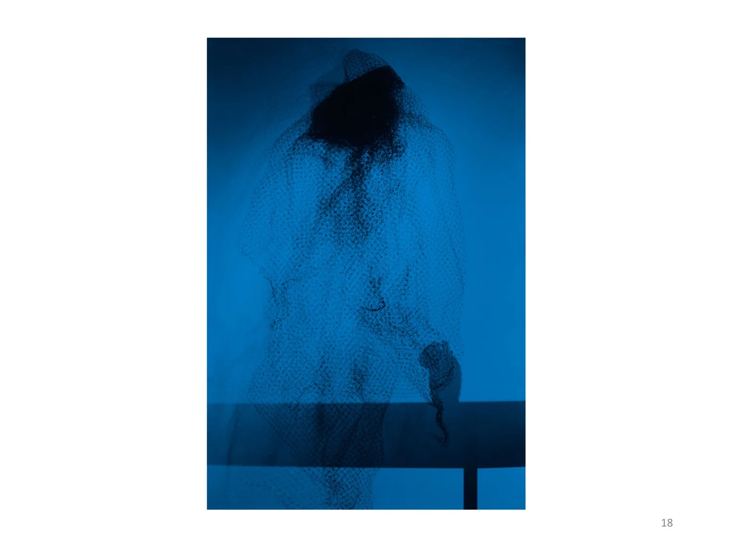 18. (untitled) how to preserve dead flowers , 2018. Digital image printed on transparency film. This image is part of the ongoing project titled How to preserve dead flowers .