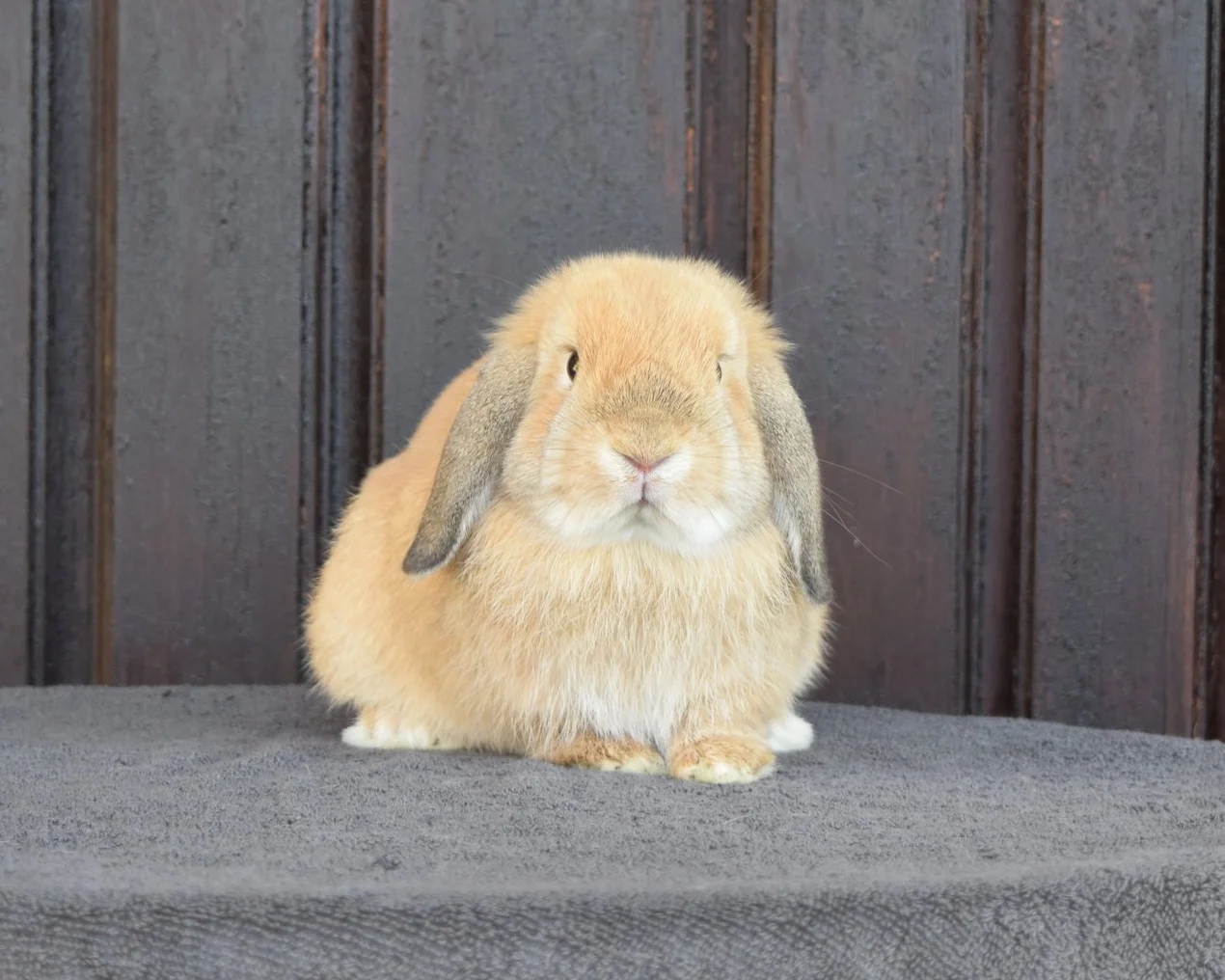 Hair Hair Everywhere