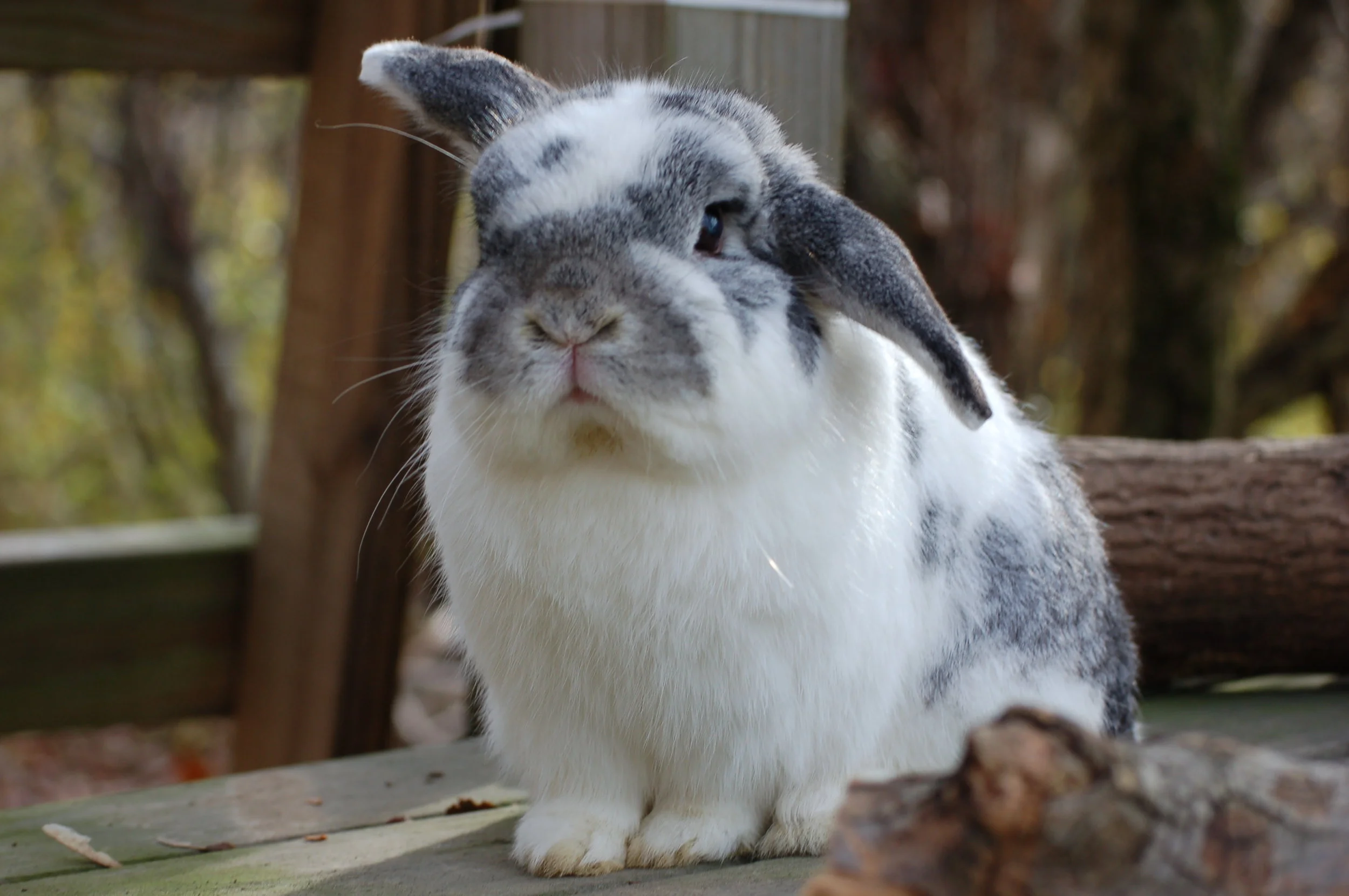 How to Buy Long Distance