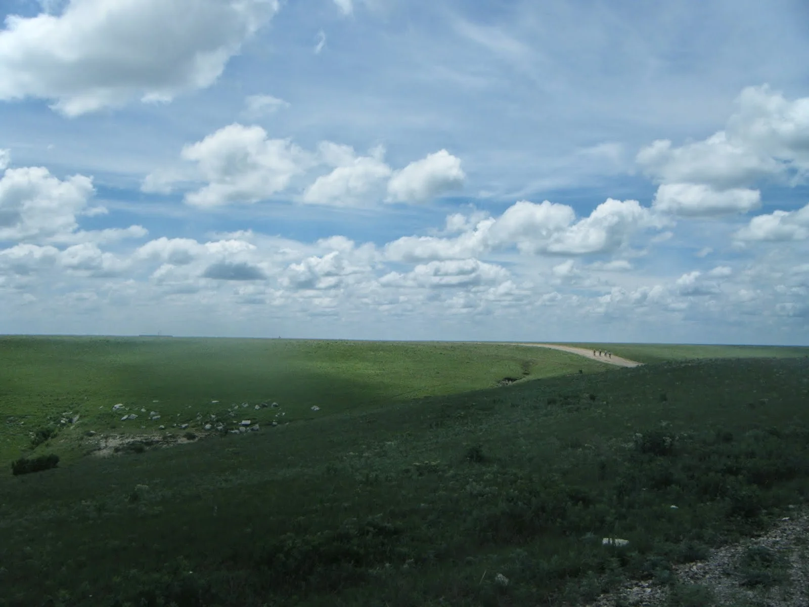 I think between 50 and 100 - somewhere around Telegraph Hill.