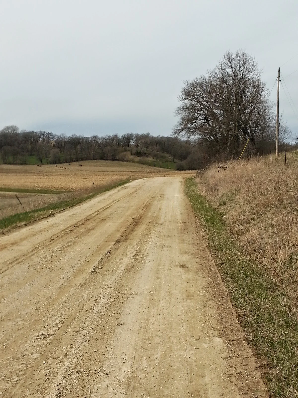 The scenery was beautiful all day and the gravel was for the most part fast.