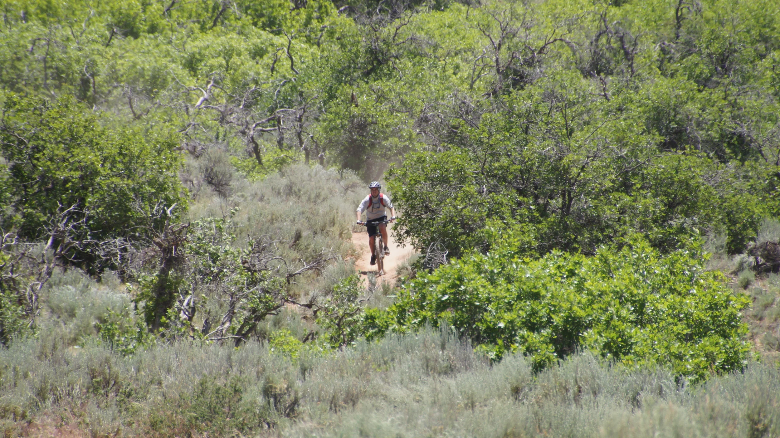 San Juan Huts 2014 - Day 5