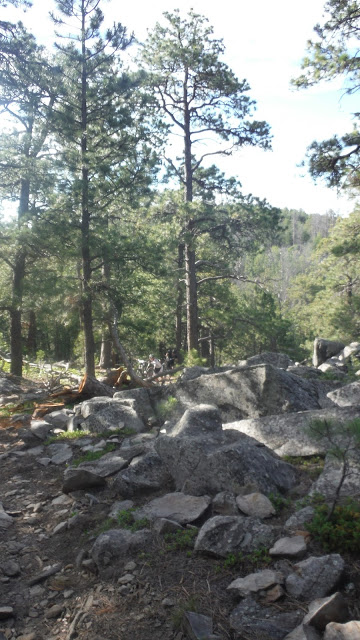 Rocky & Steep