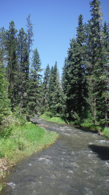 Most water crossings had to be waded through & some had guide ropes to help keep us upright.