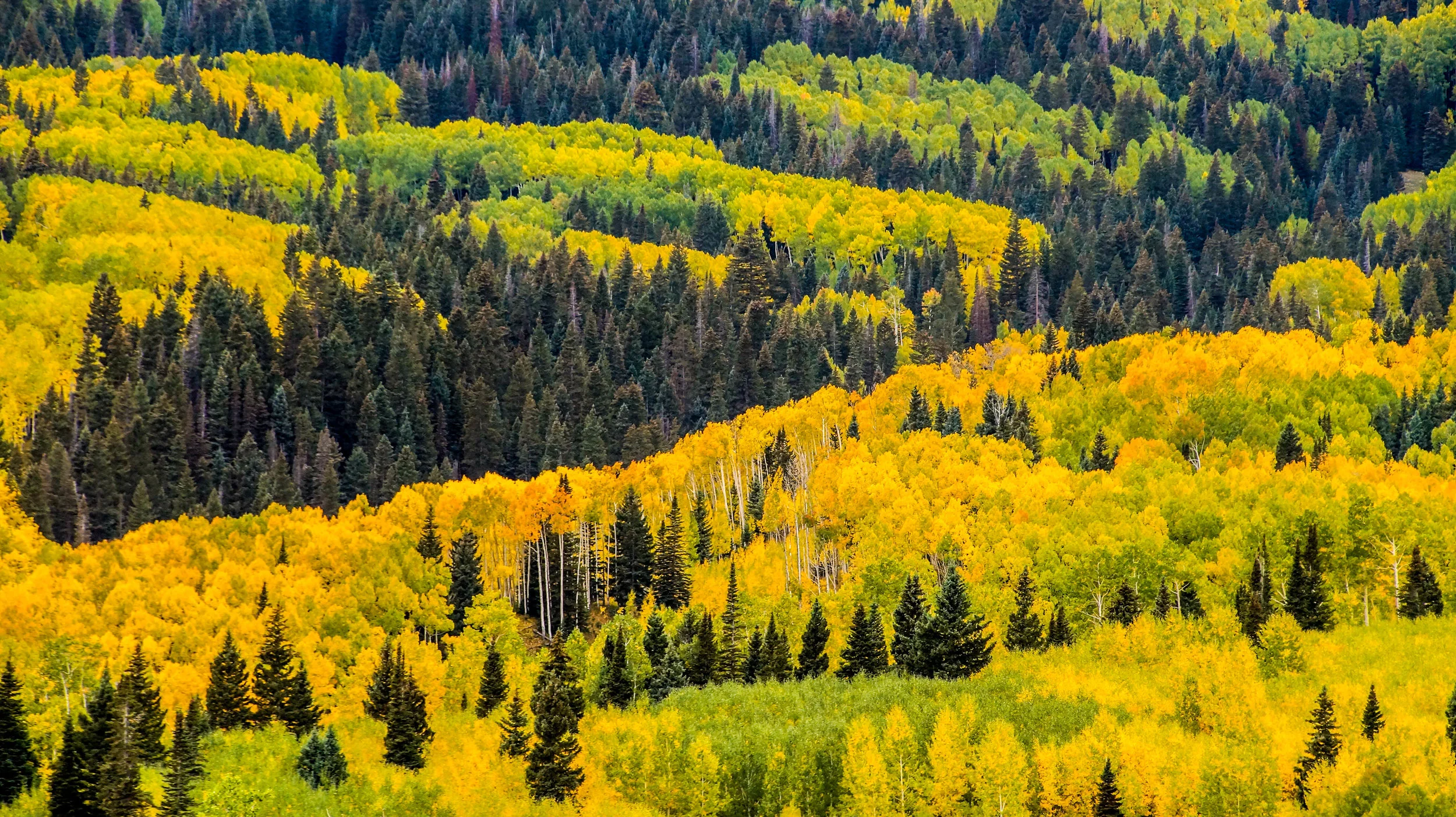 It's been a long cold winter