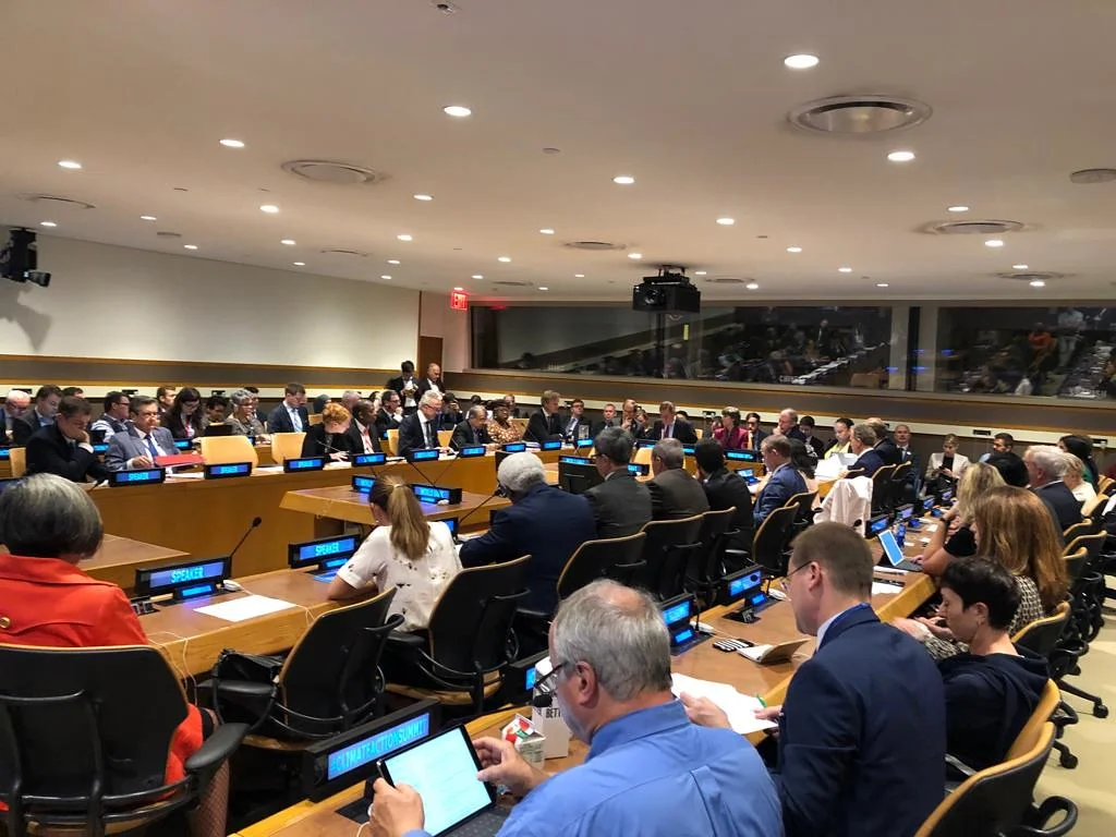 Accelerating ambitious carbon pricing