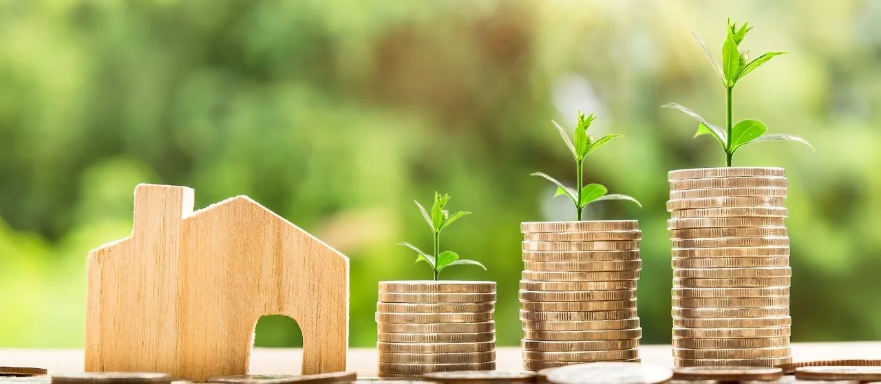 Carbon Pricing as a Policy Instrument to Decarbonize Economies