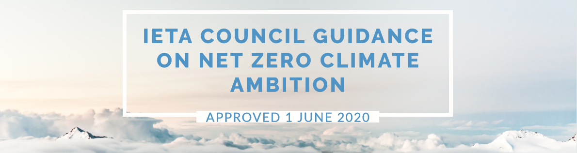 Economic recovery can stimulate progress towards a global Net-Zero goal  