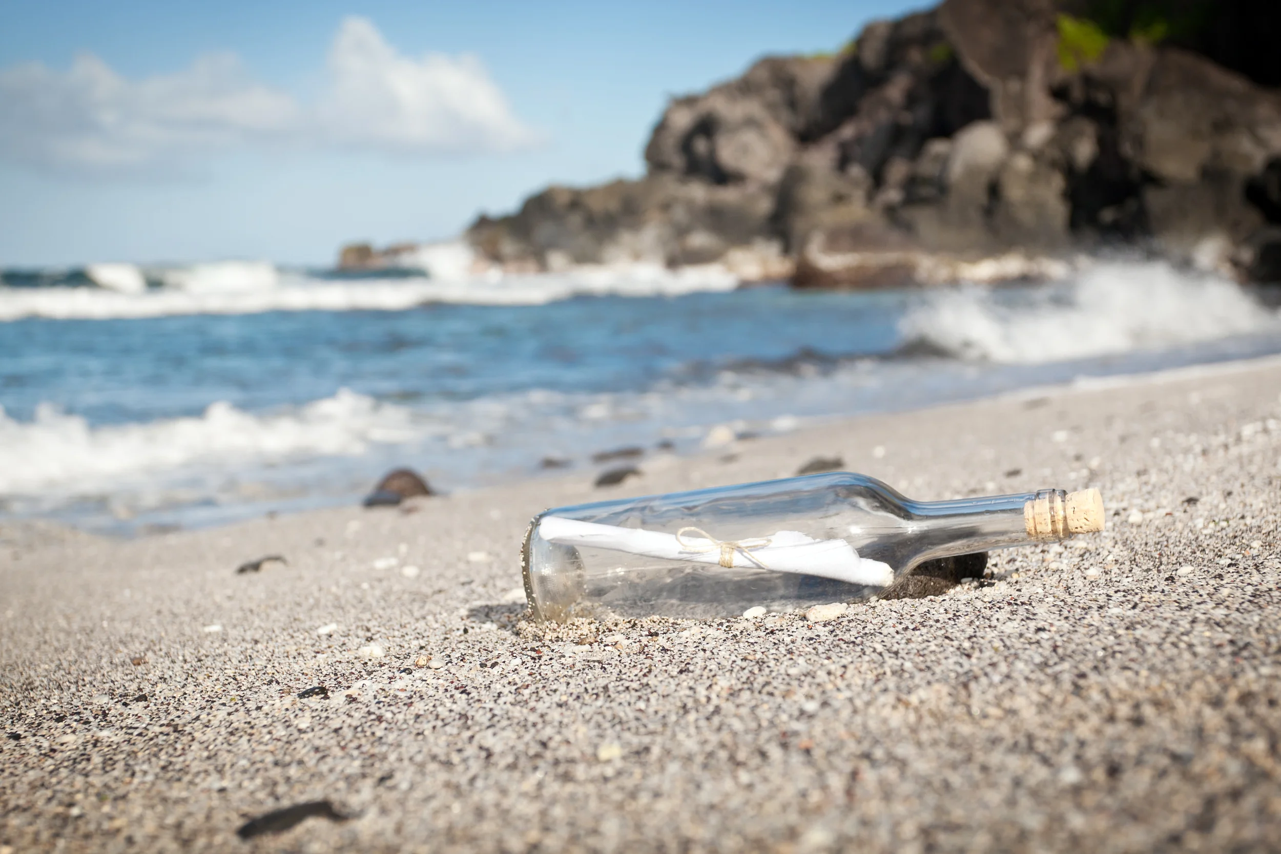 Photo by Franck Olivier GRONDIN/iStock / Getty Images