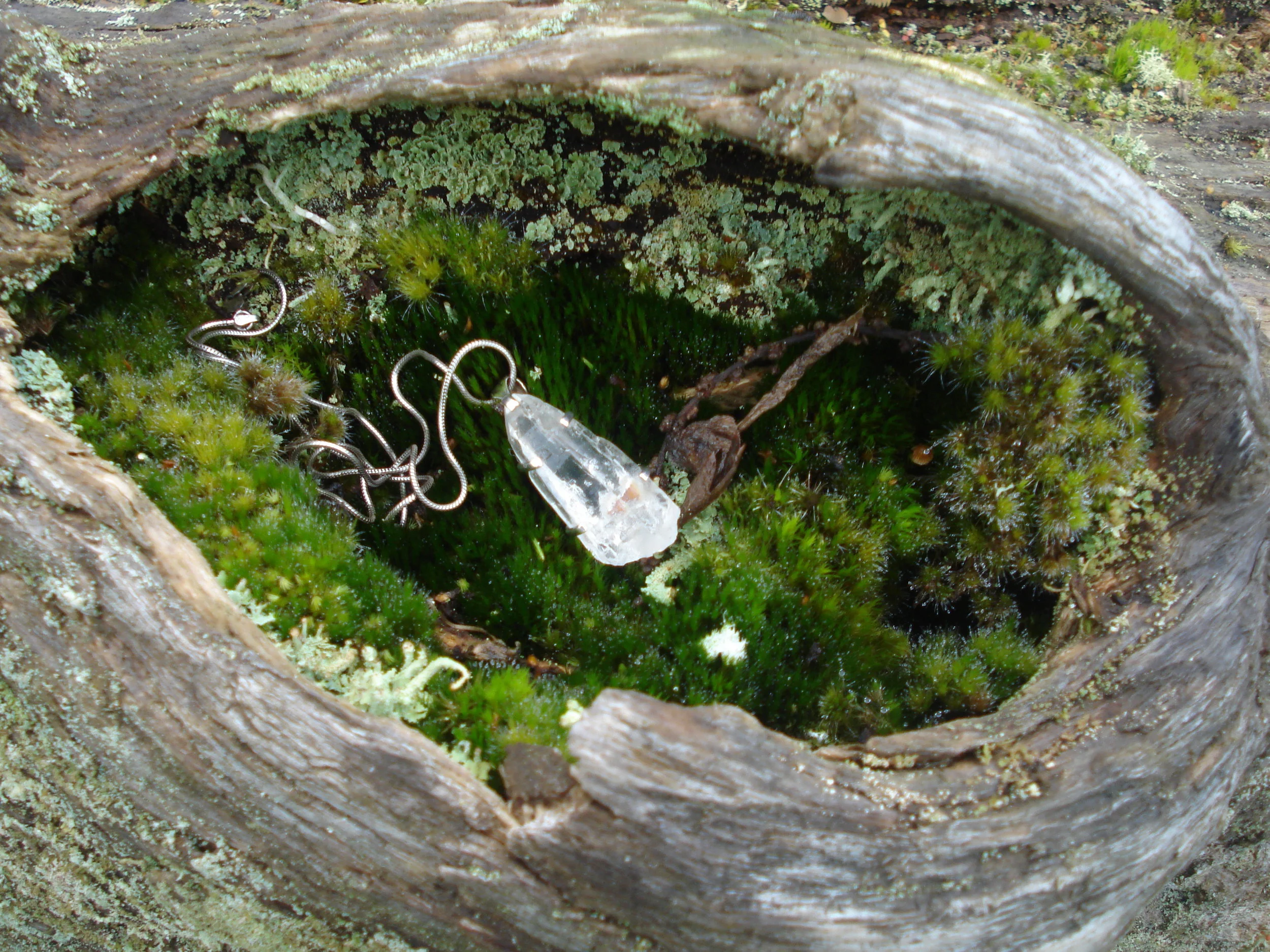 My manifestation quartz pendant, charging among the moss at Heapstown Cairn.