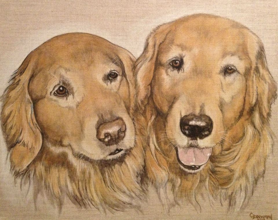 Retreivers Portraits