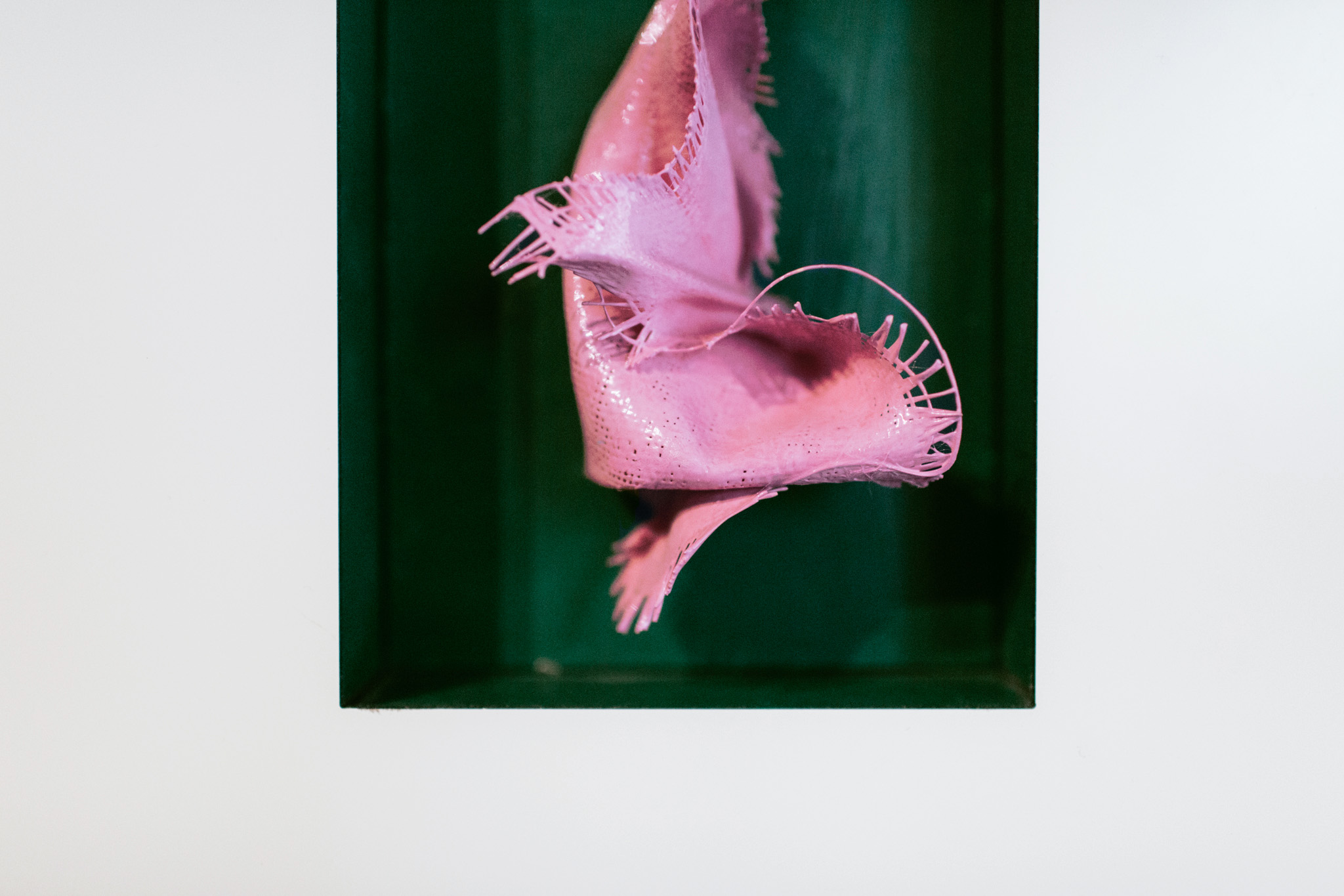 "Pink on Green" Shadow Box // Prismatic Rhapsody // Bolt Gallery 2019 