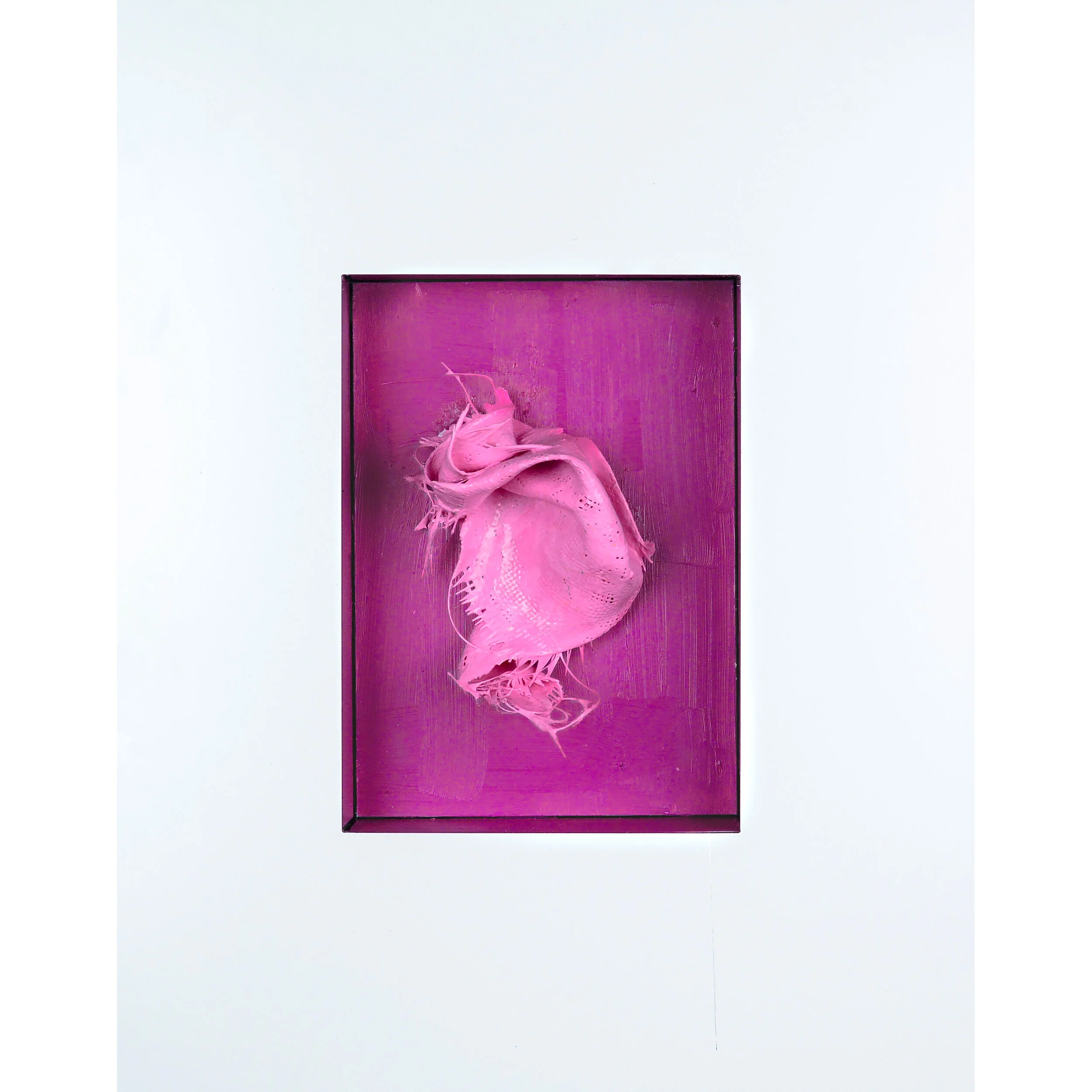 4-pink-on-magenta.jpg