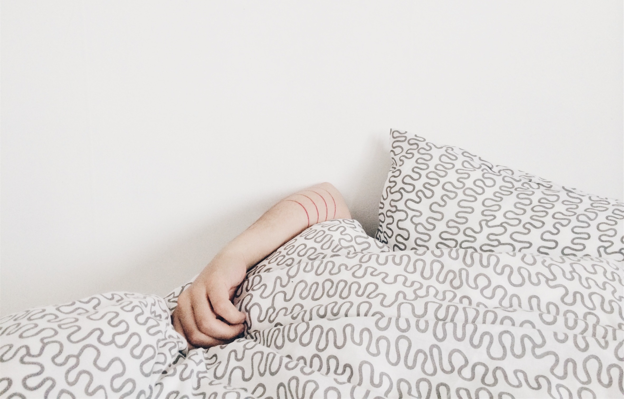 Elizabet Dominguez/StockSnap