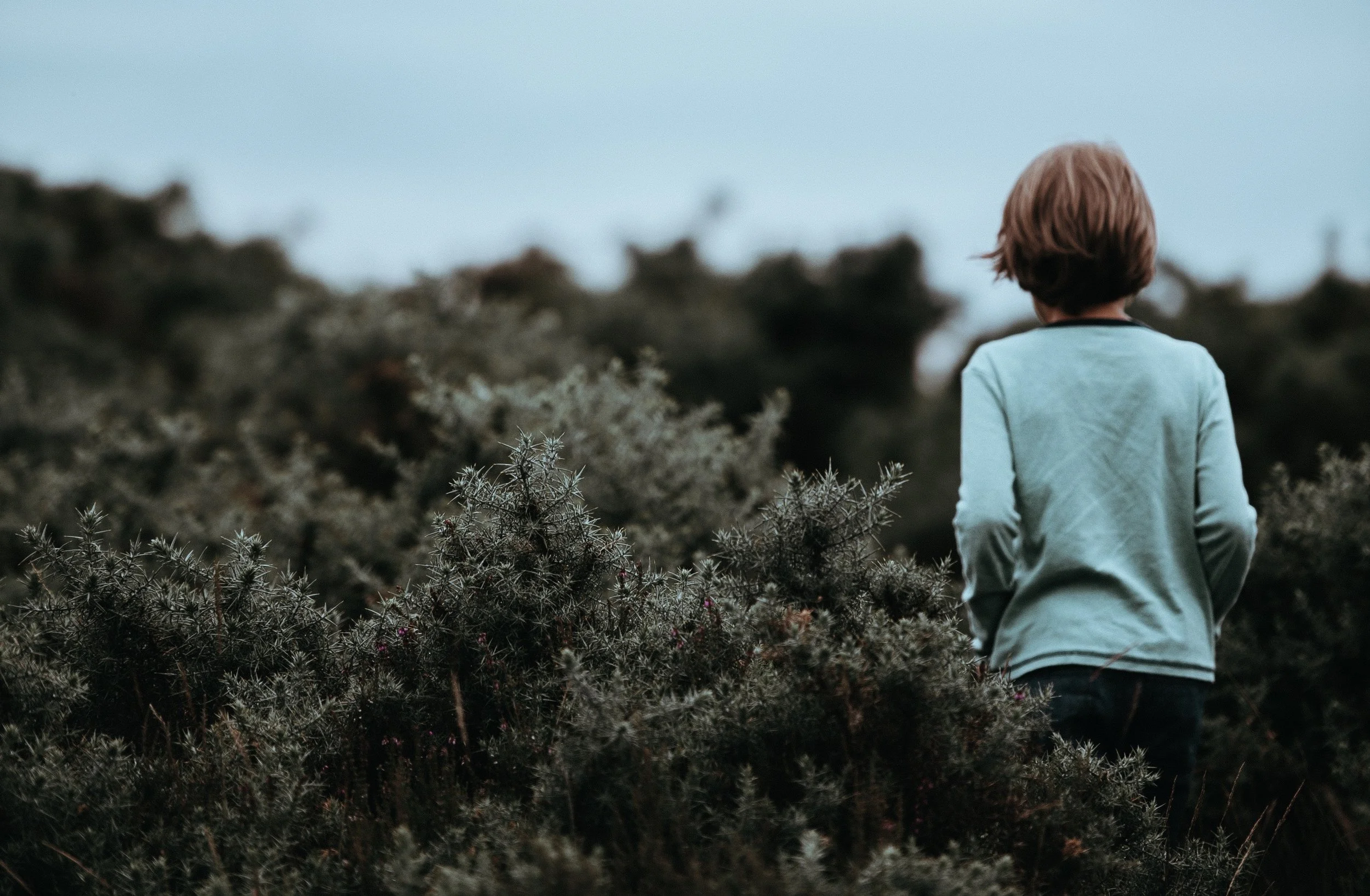 Annie Spratt/Unsplash