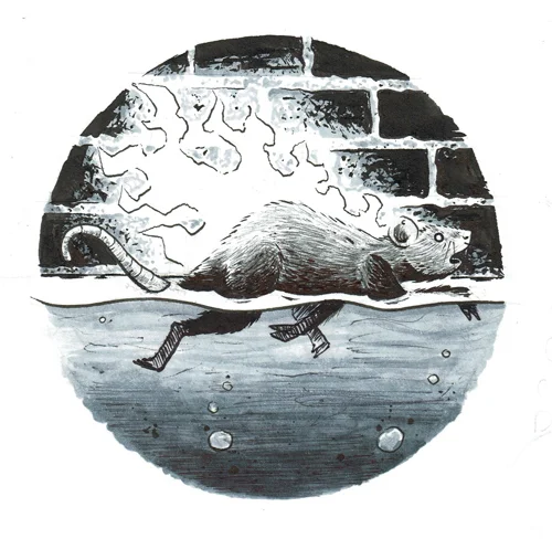 like-rats-on-fire.jpg