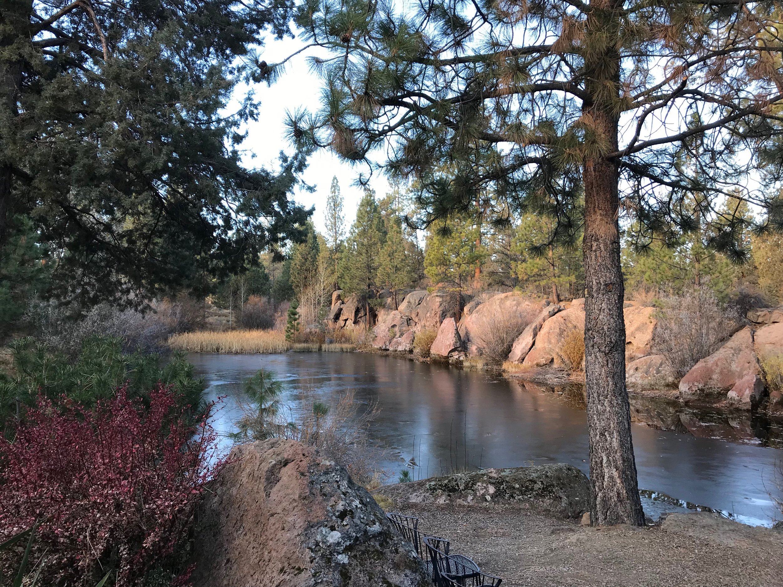 Resilience Immersion Training Spring 2019
