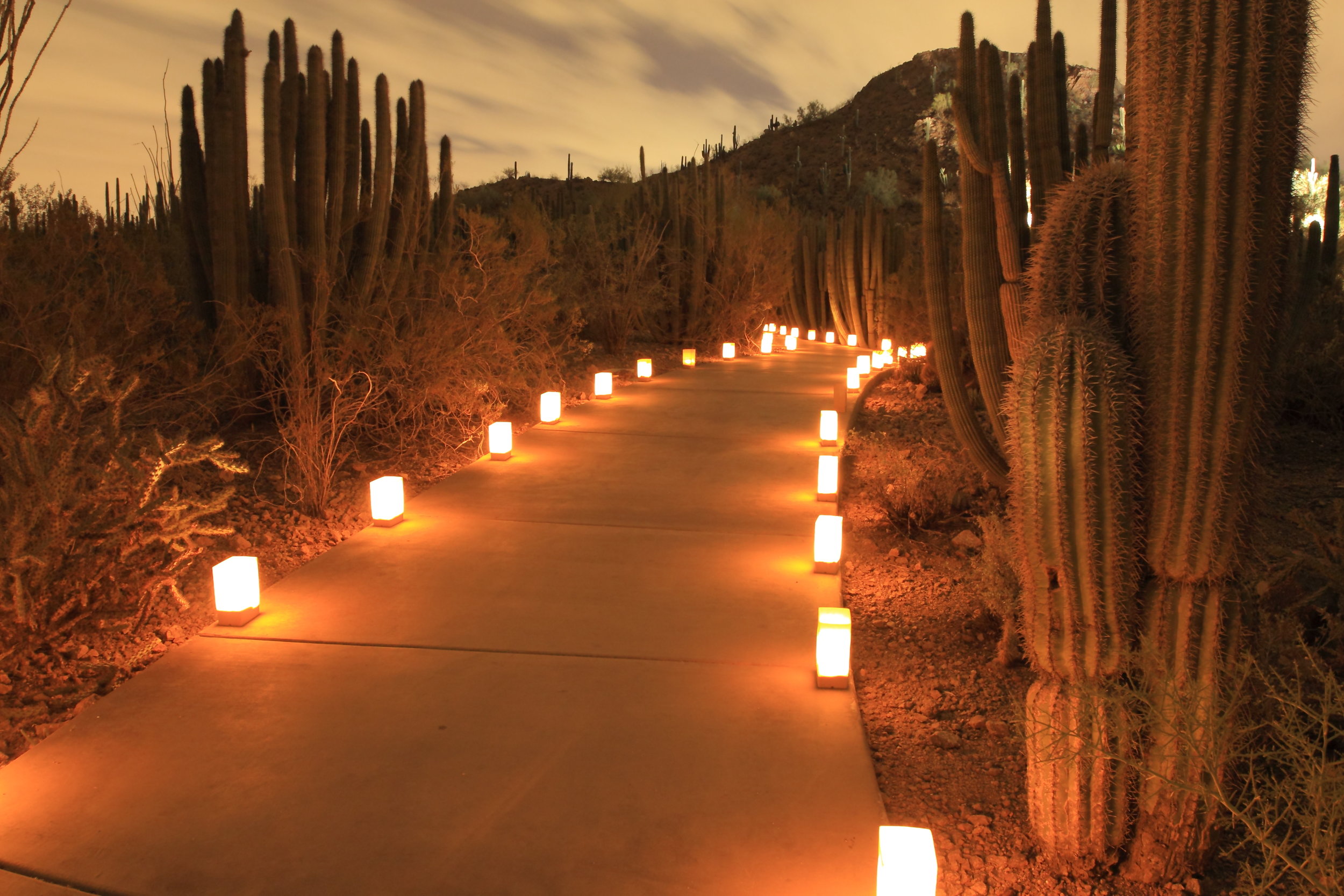 Resilience Immersion Training Arizona