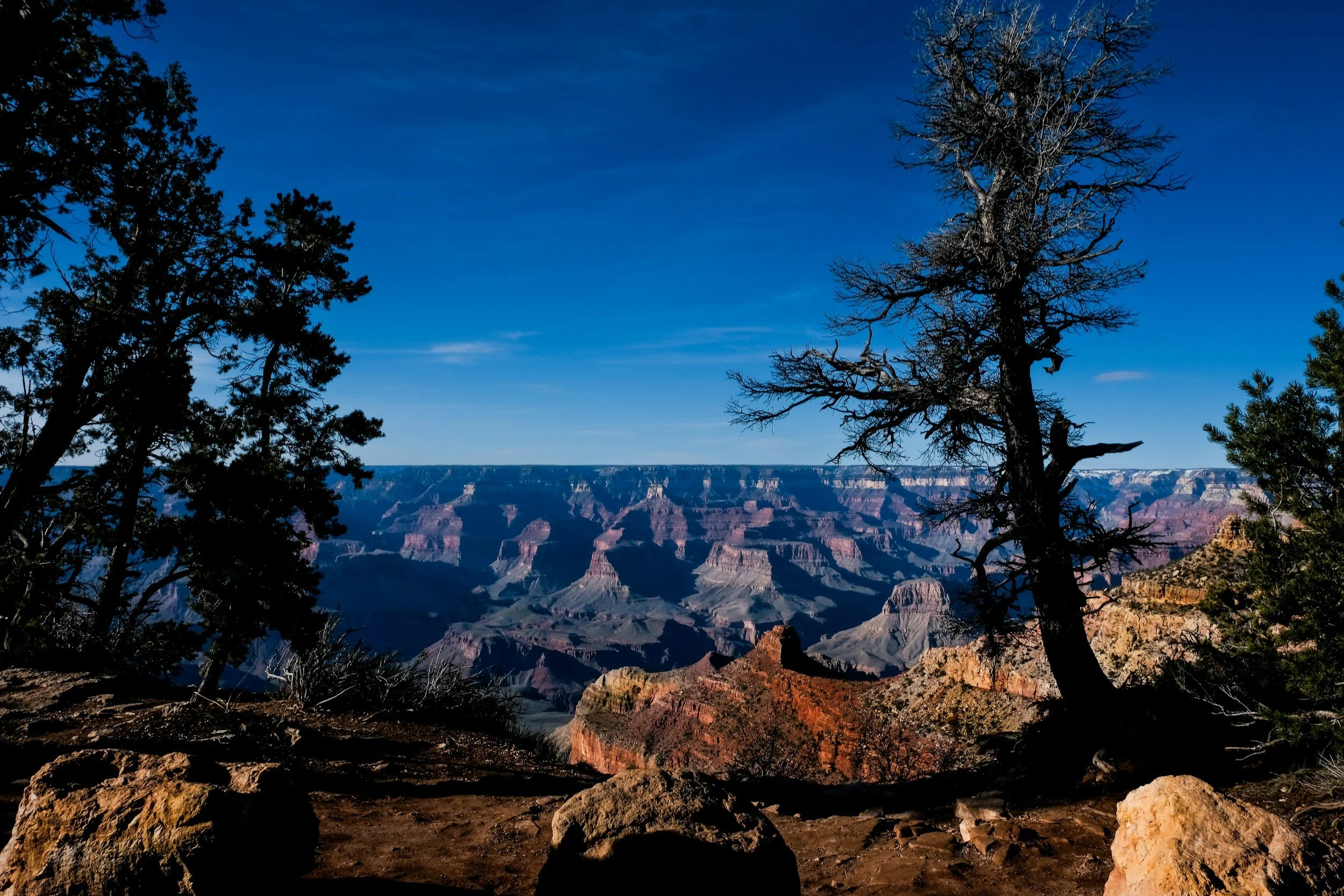 Resilience Immersion - Arizona