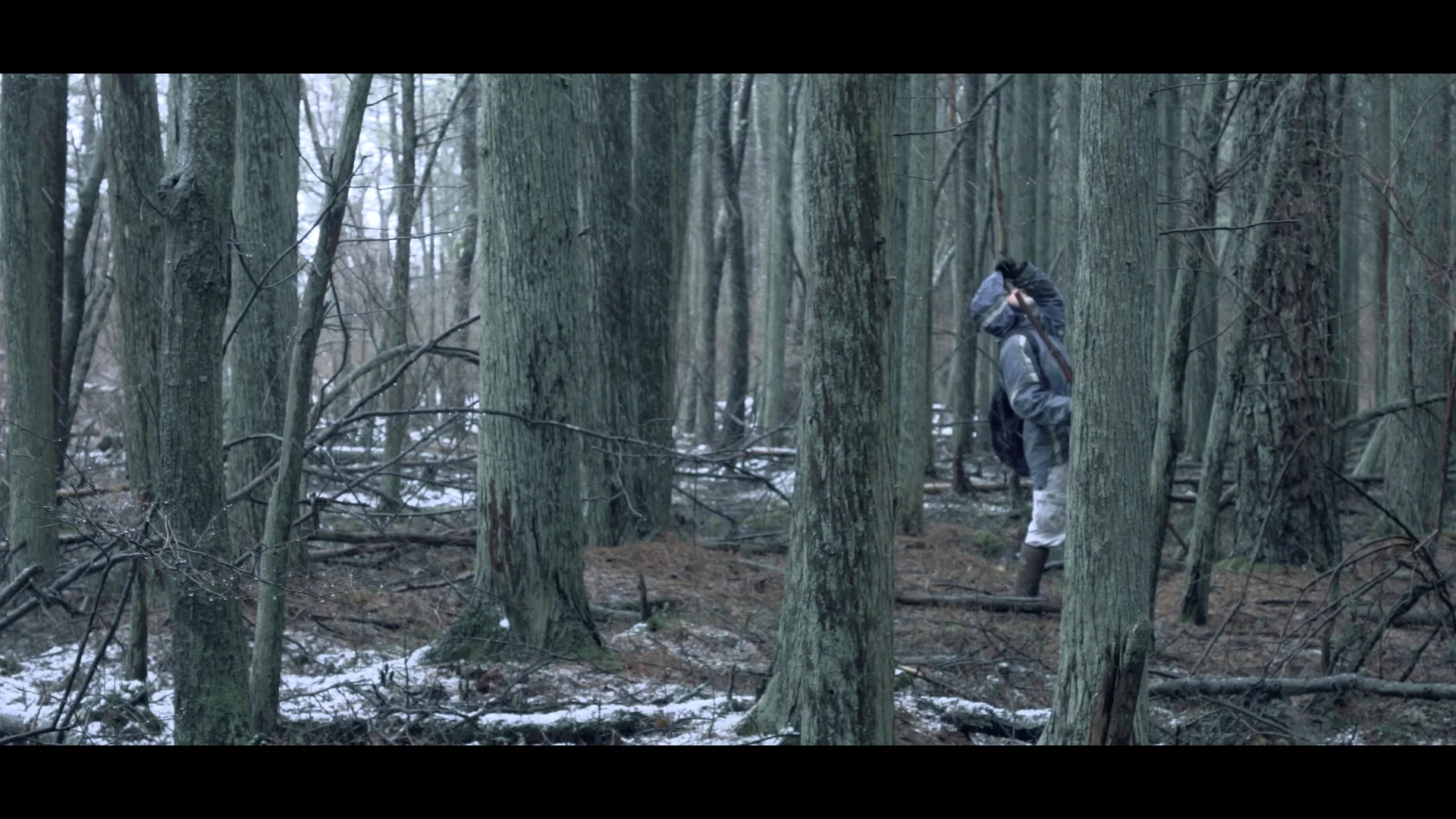 BartramsEditREndered_final1.mov.Still012.jpg