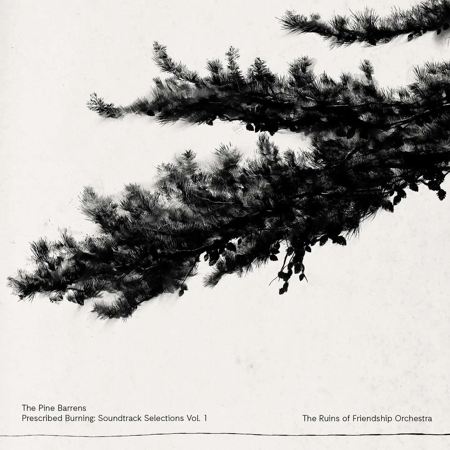 The Ruins of Friendship Orchestra has a new full length album comprised of music recorded for The Pine Barrens film.
If you have been following @pinebarrensfilm at all for the last 10 years, you would know that this film project and The Ruins of Fri