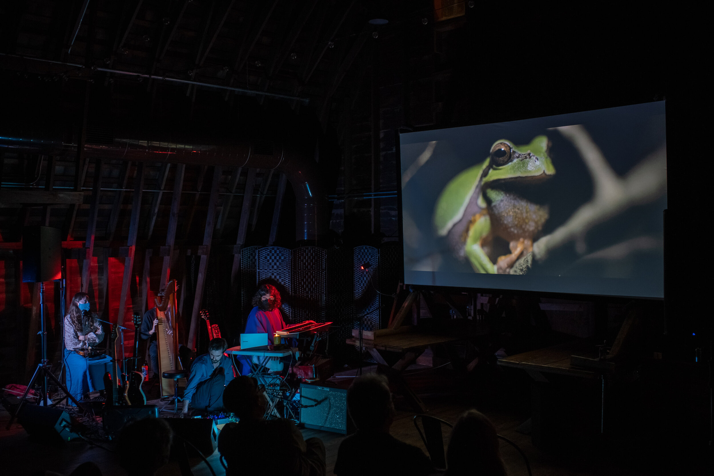 The Pine Barrens with The Ruins of Friendship Orchestra