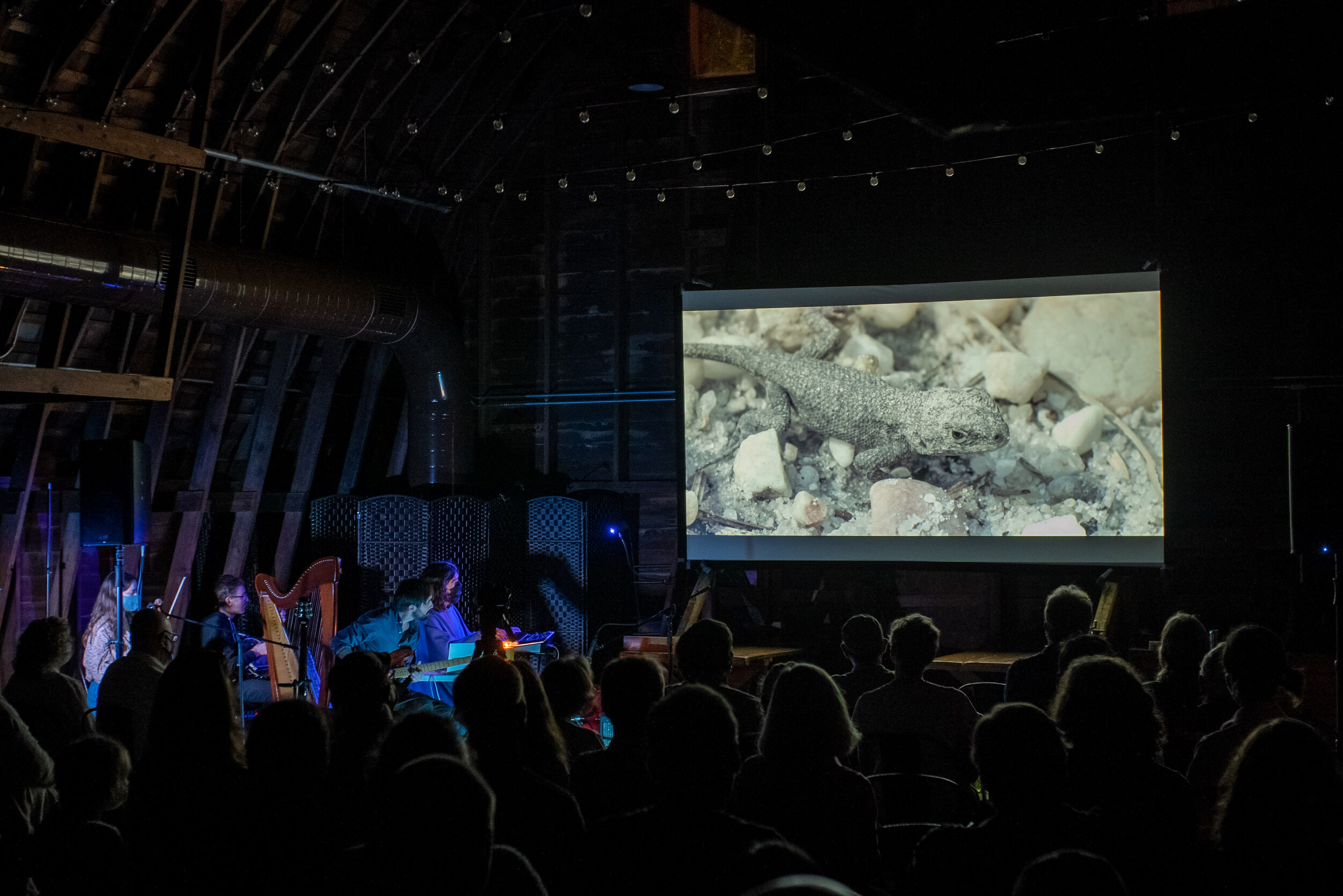 The Pine Barrens with The Ruins of Friendship Orchestra