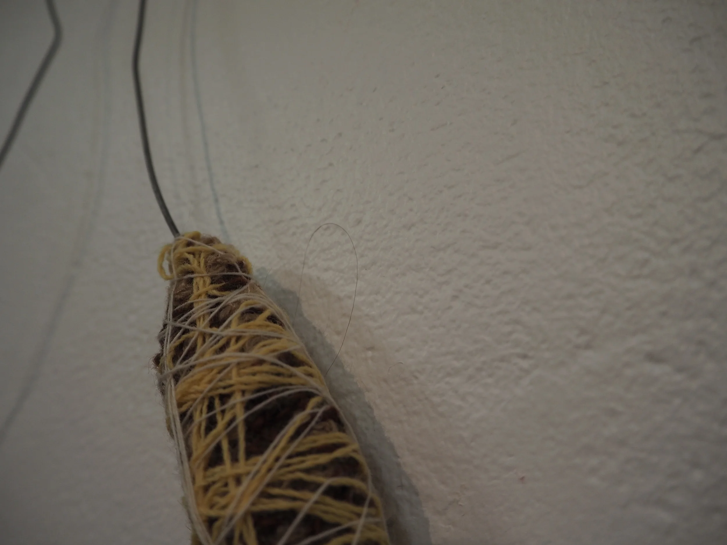 Louise Haselton, untitled (2015) wire, wool, rubber cord