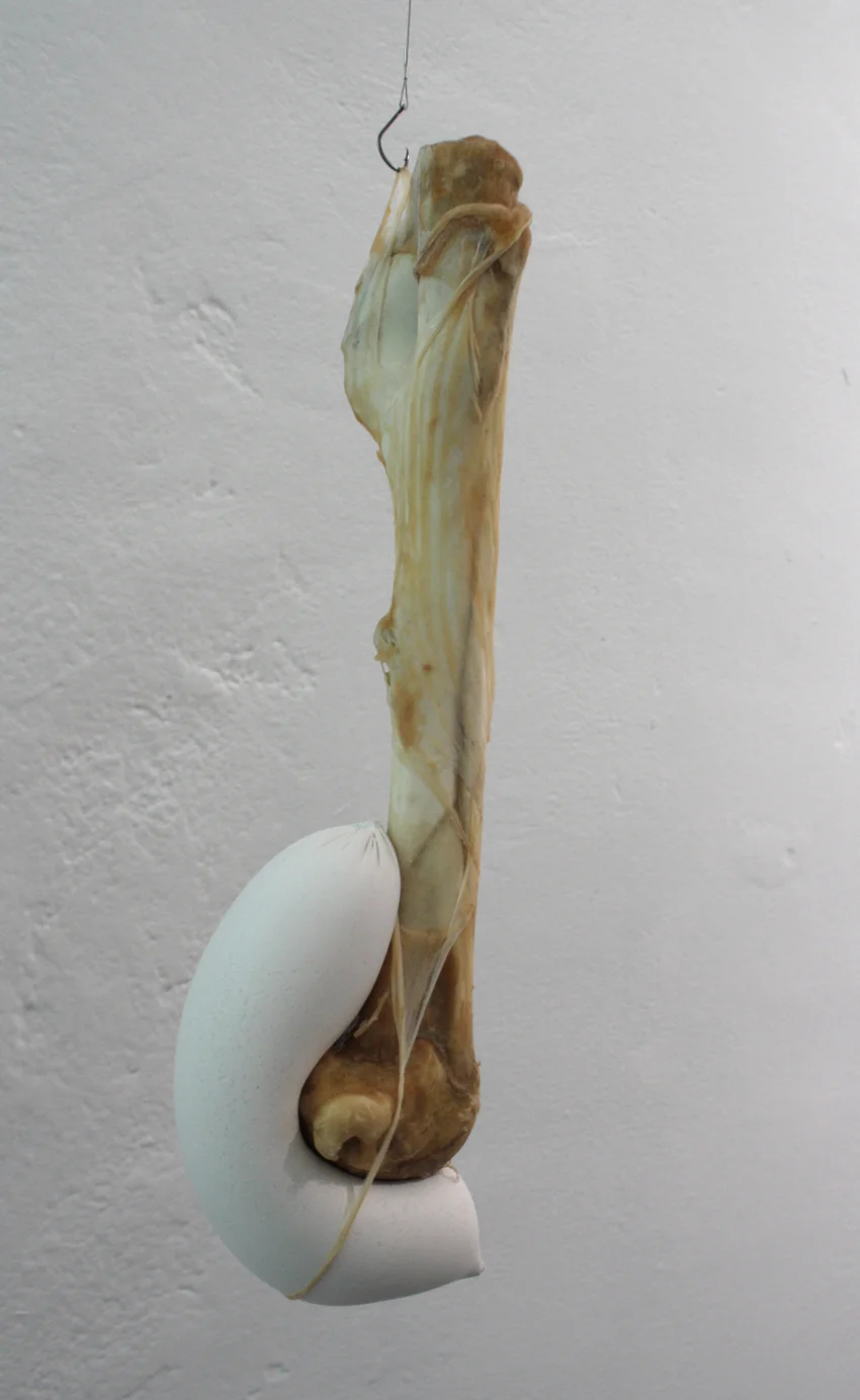 Image courtesy of artist and FELTspace.