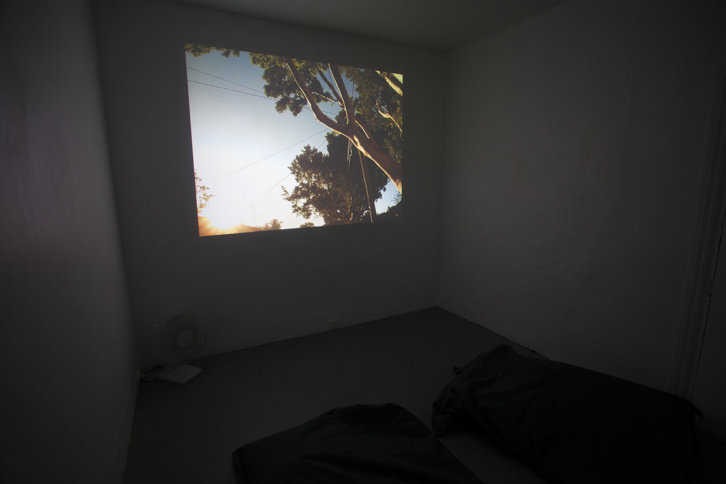 Photograph by Alycia Bennett