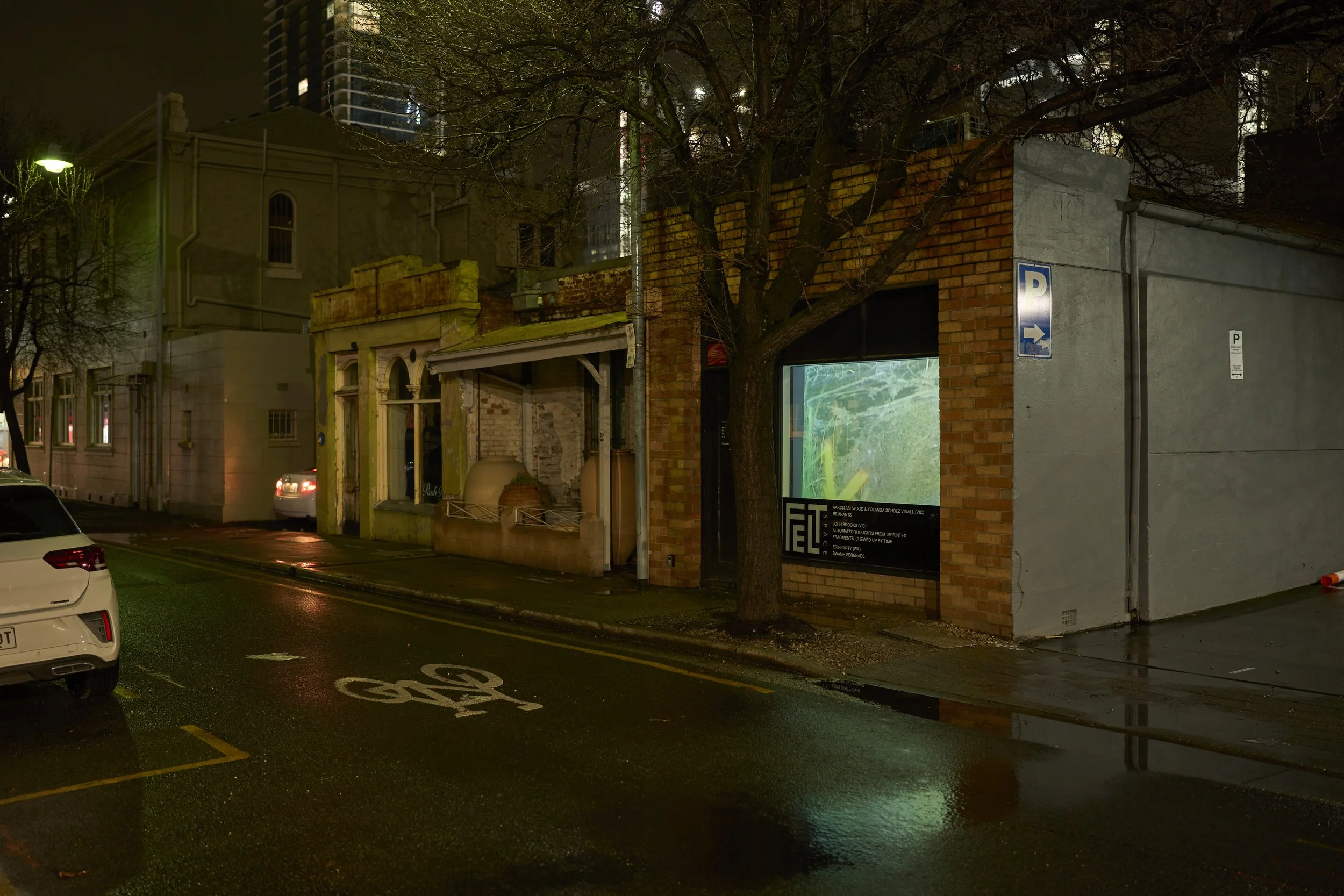 FELT_Erin Ginty_Swamp Serenade_After Dark_Jul9 2025_123_HiRes.jpg