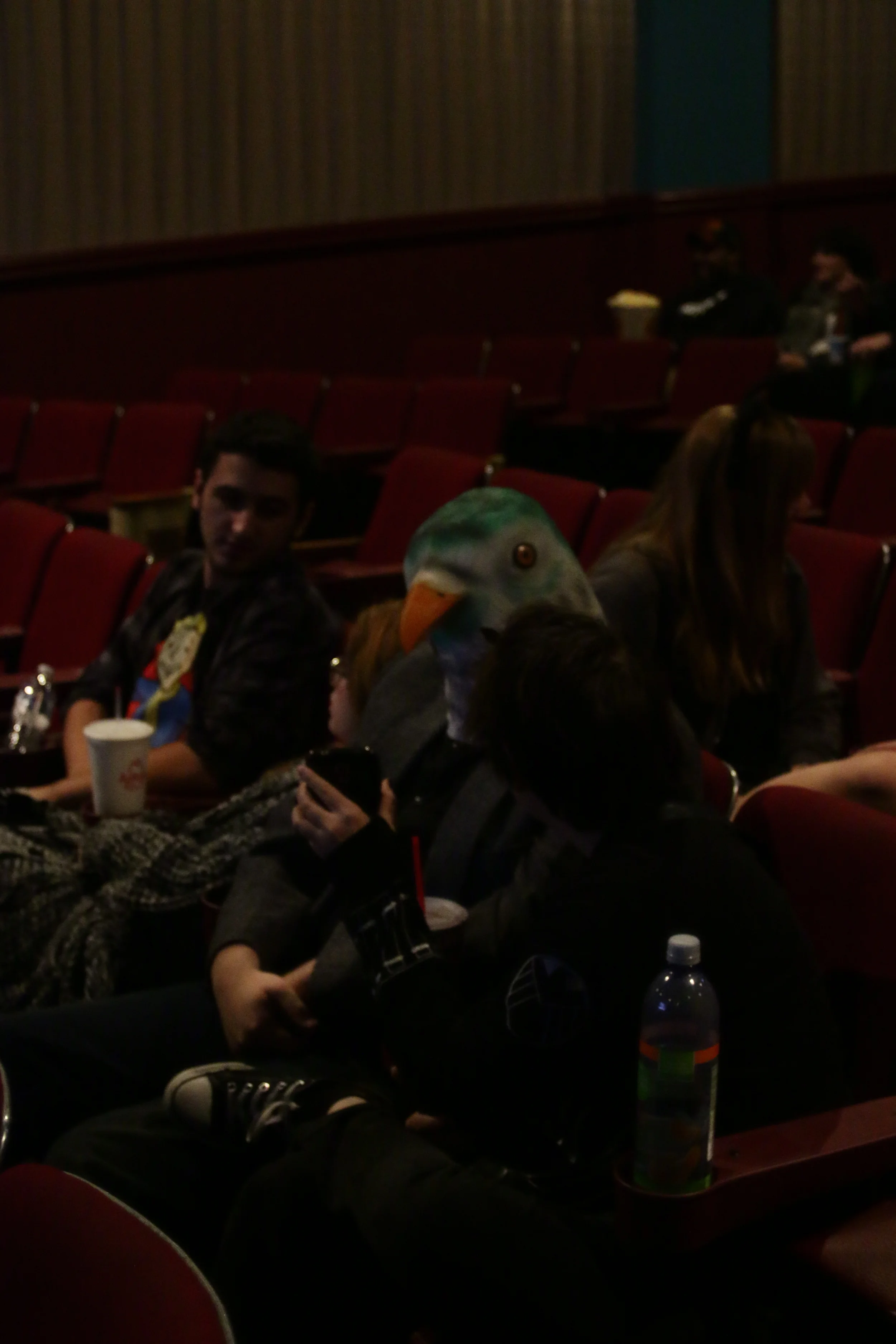 IMG_4769.JPG