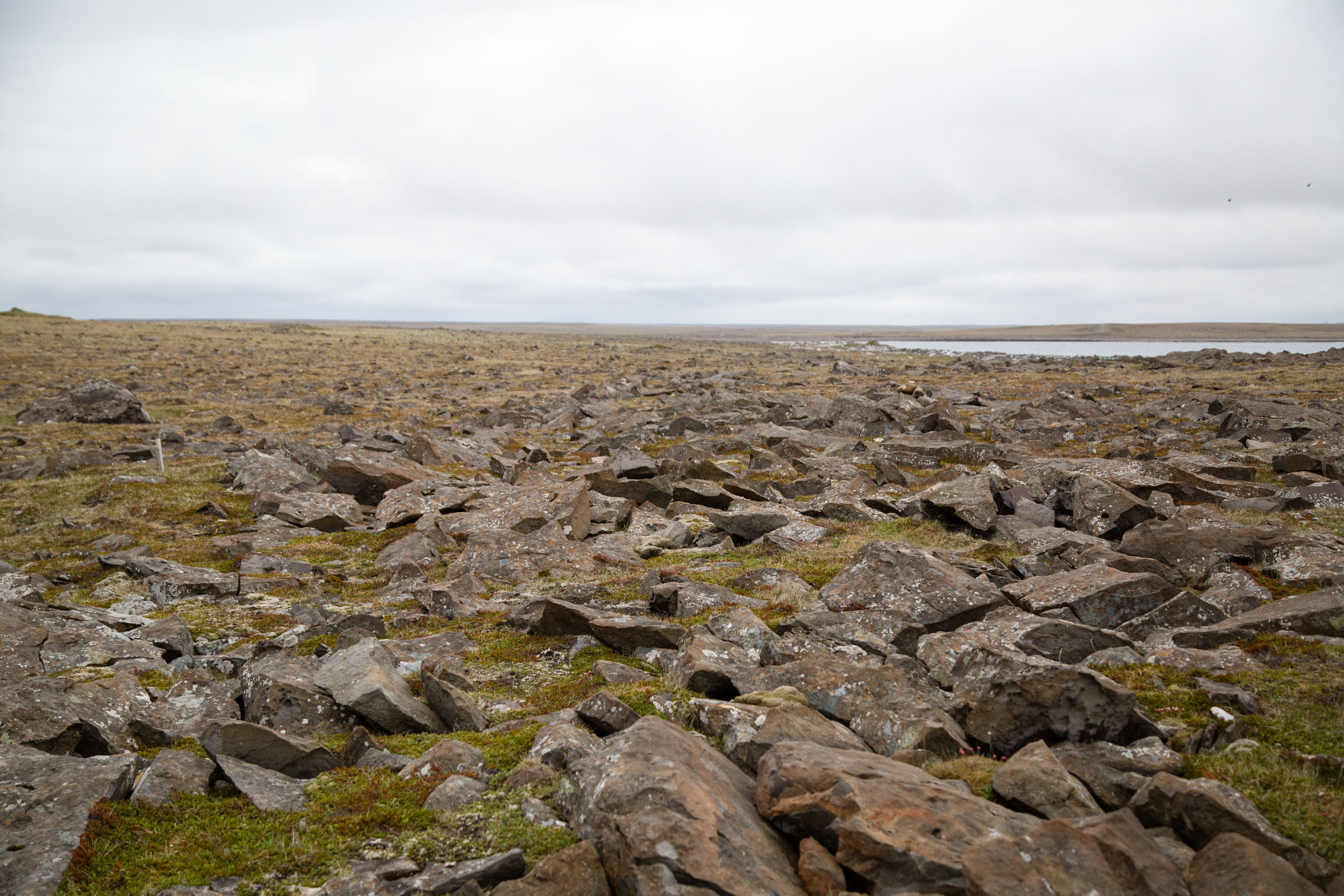 "Rocky path follows left of the ocean. We continue walking for a few hours when reality sets in; A trip I've been planning for months has finally paid off and I am living it."