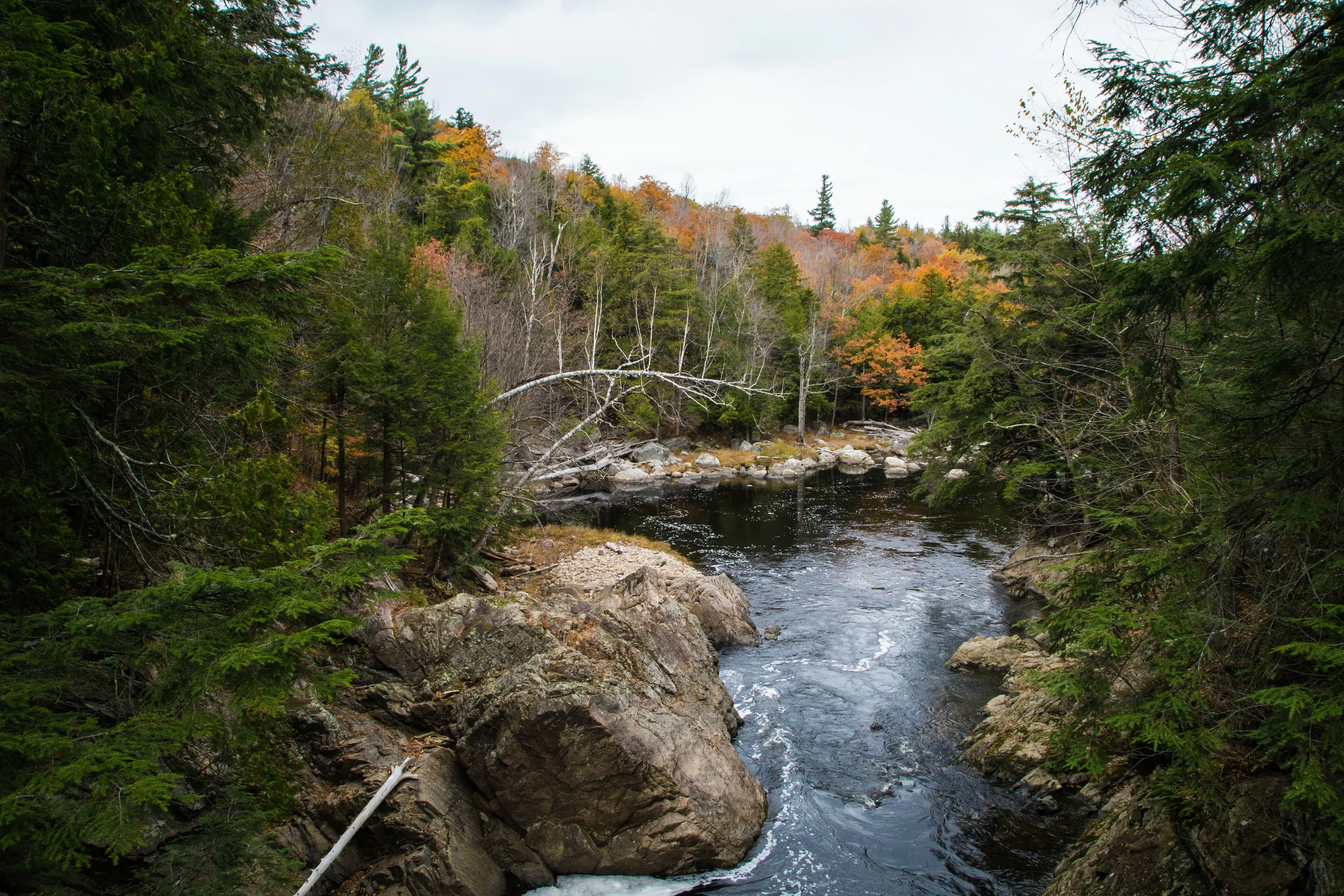 Plattsburgh-7727.jpg