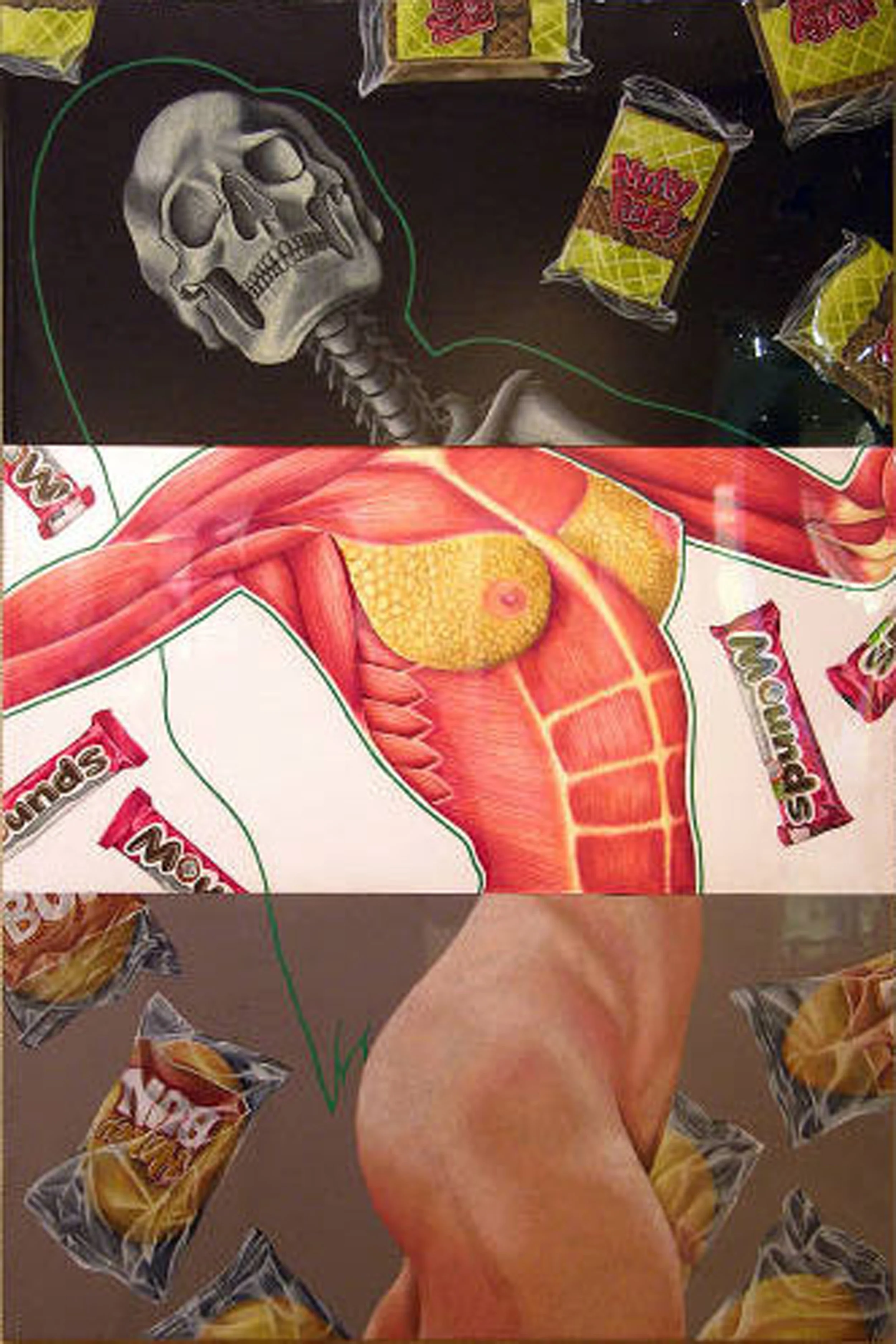 Anatomical Study.jpg